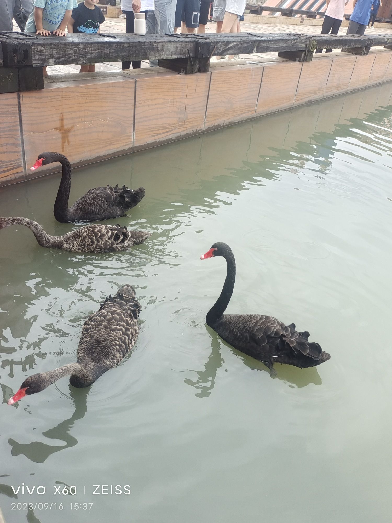 上海广富林文化遗址旅行图片 1