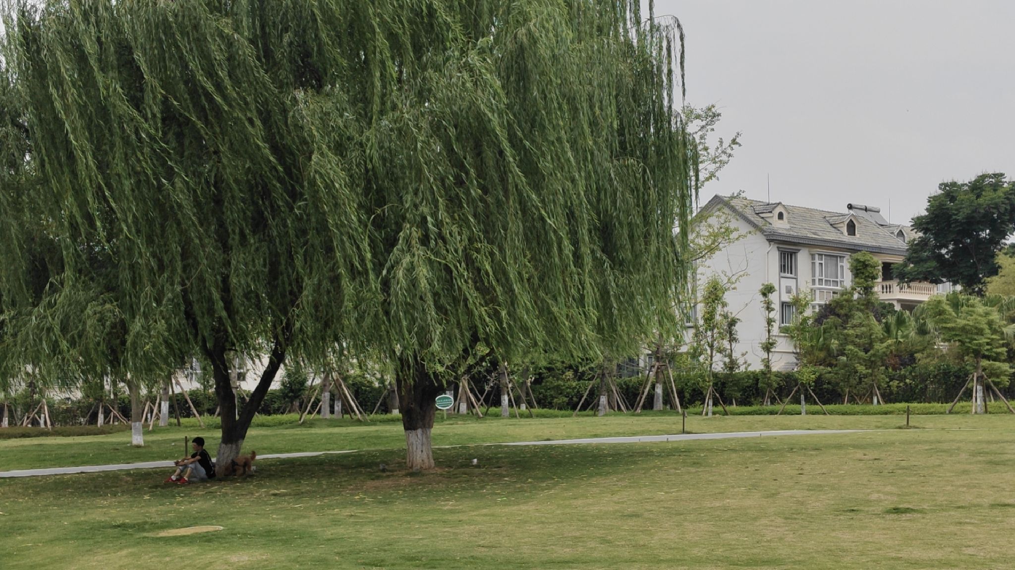 园艺山人工湖公园旅行图片 1
