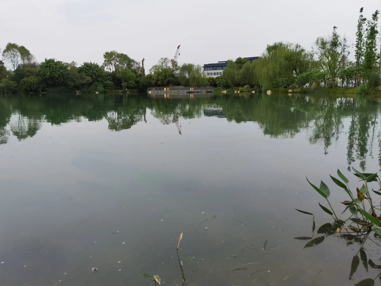 园艺山人工湖公园旅行图片 3