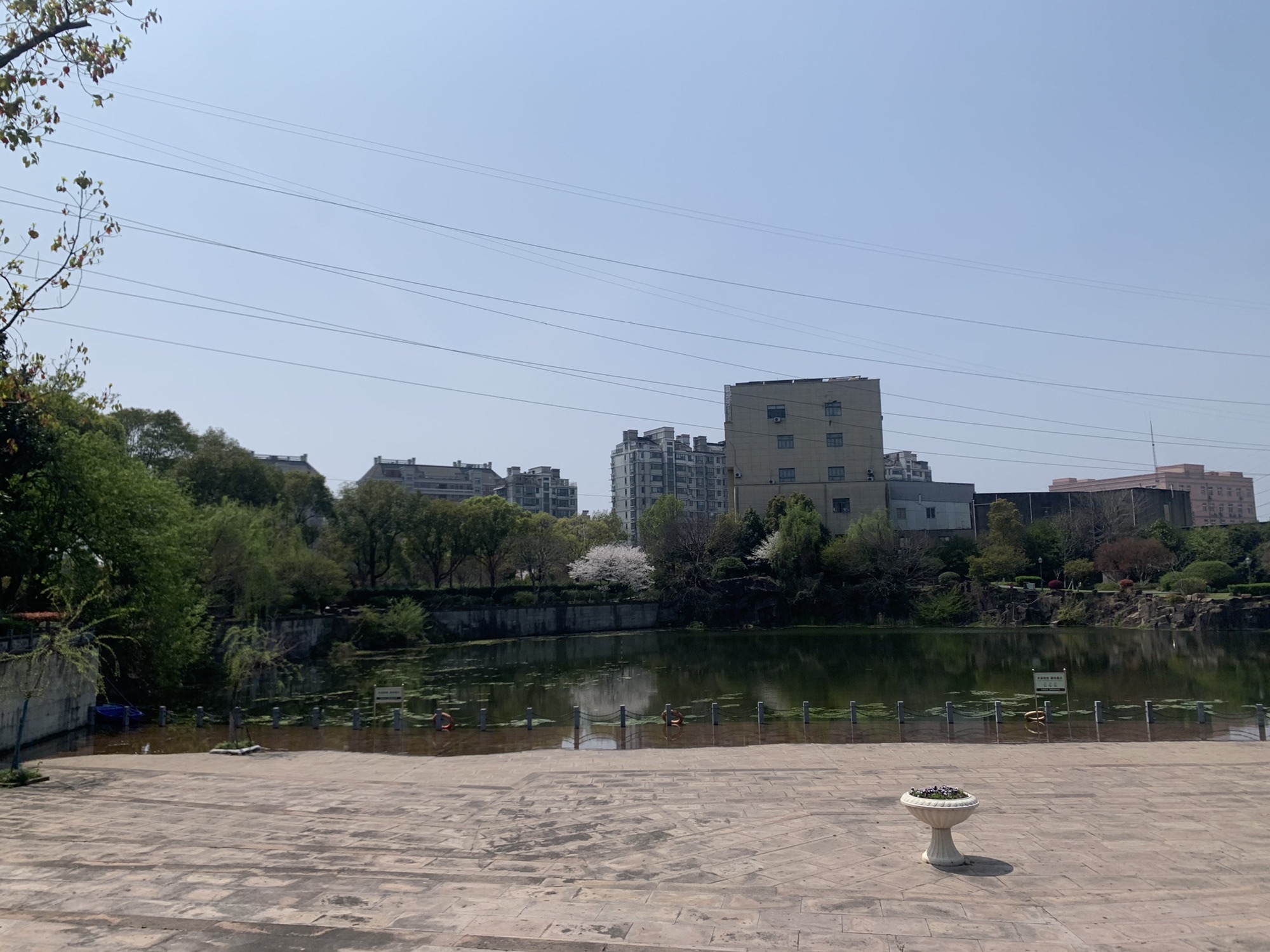 旦山公园旅行图片 3