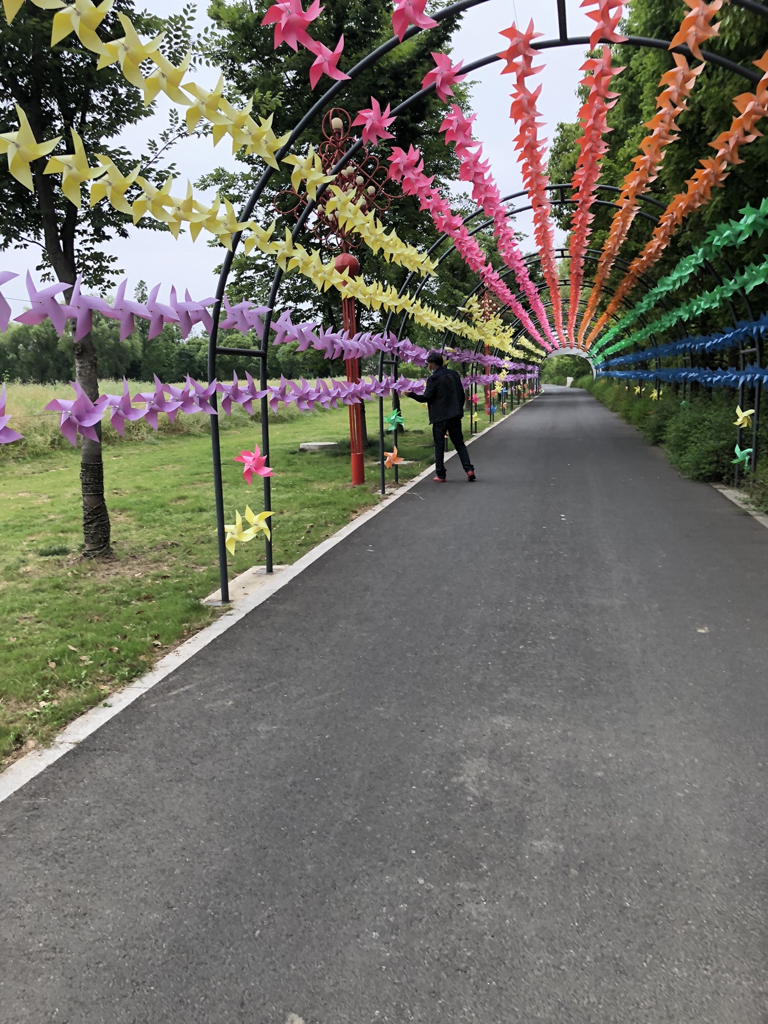 牟家文体公园旅行图片 1