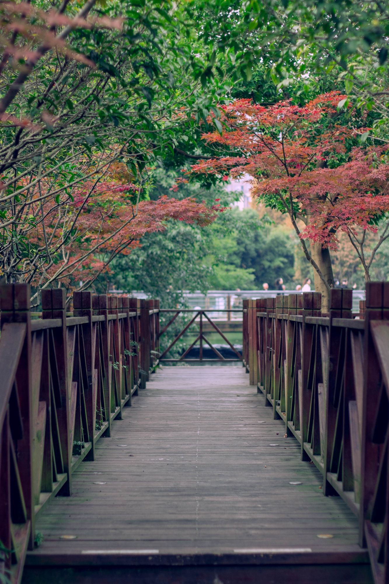 苏绵公园旅行图片 1