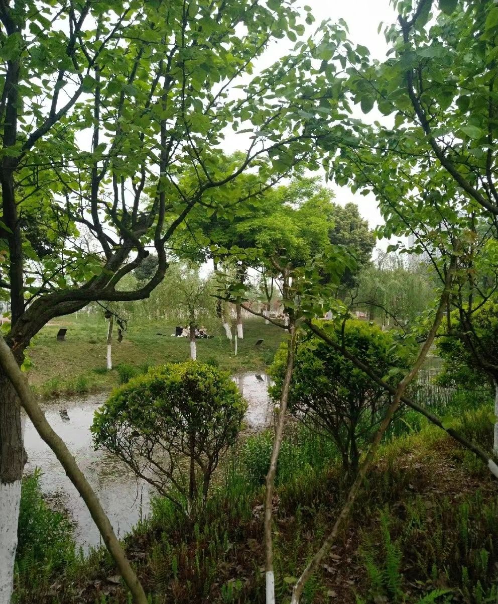 苏绵公园旅行图片 3