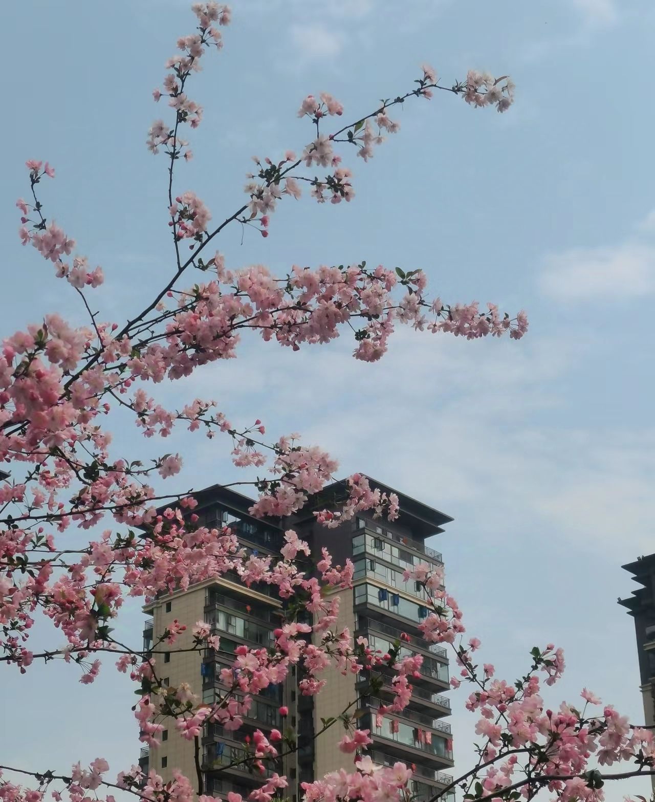 苏绵公园旅行图片 1