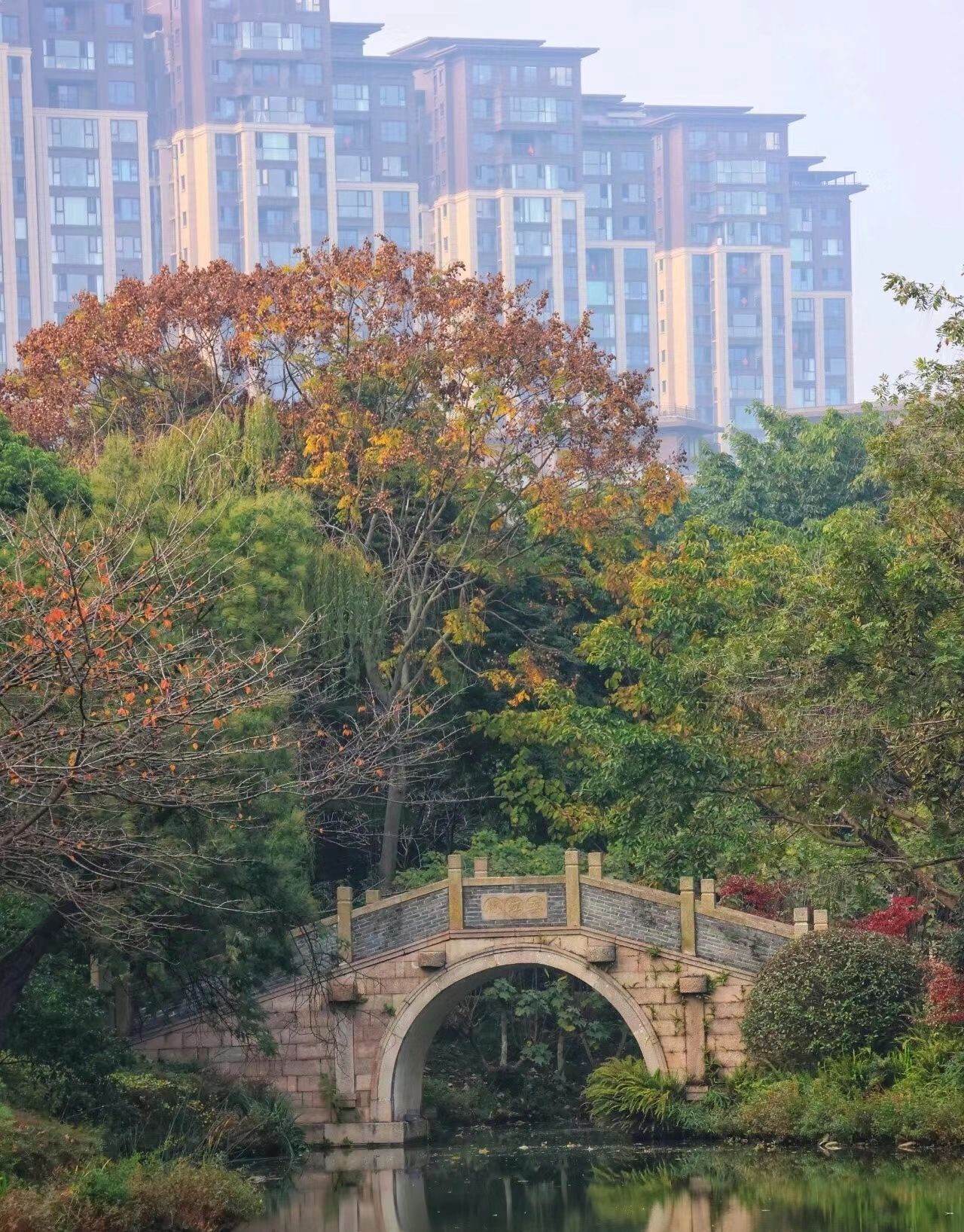 苏绵公园旅行图片 2