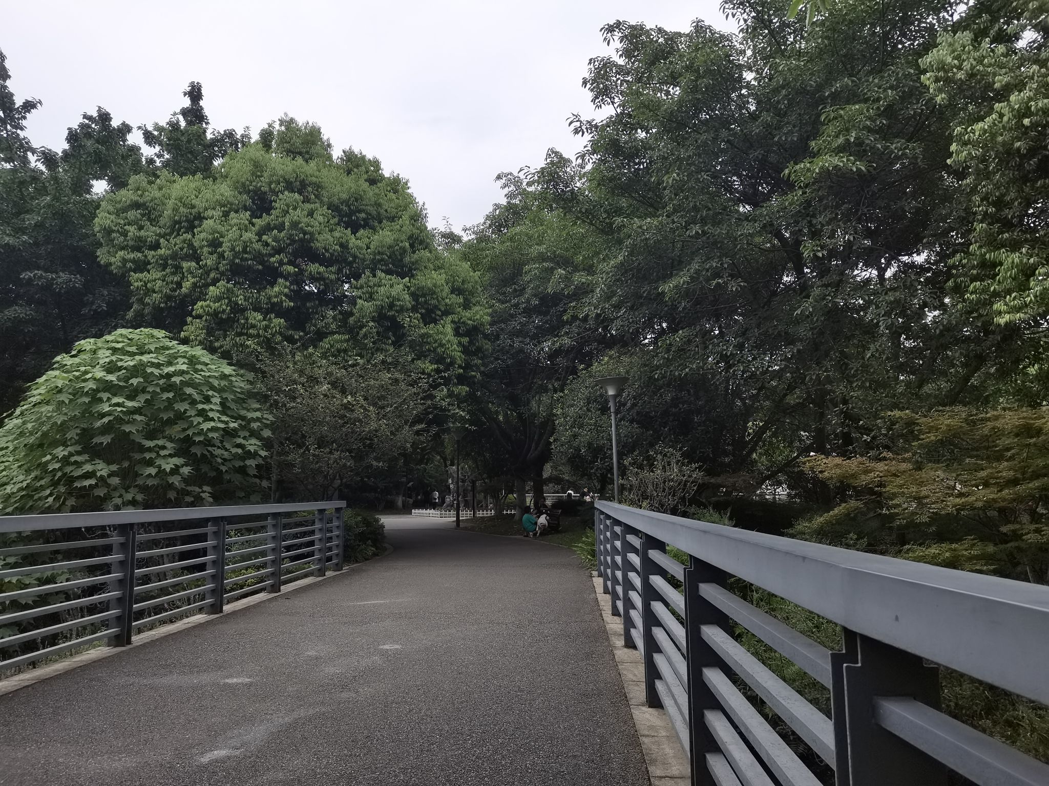 苏绵公园旅行图片 3