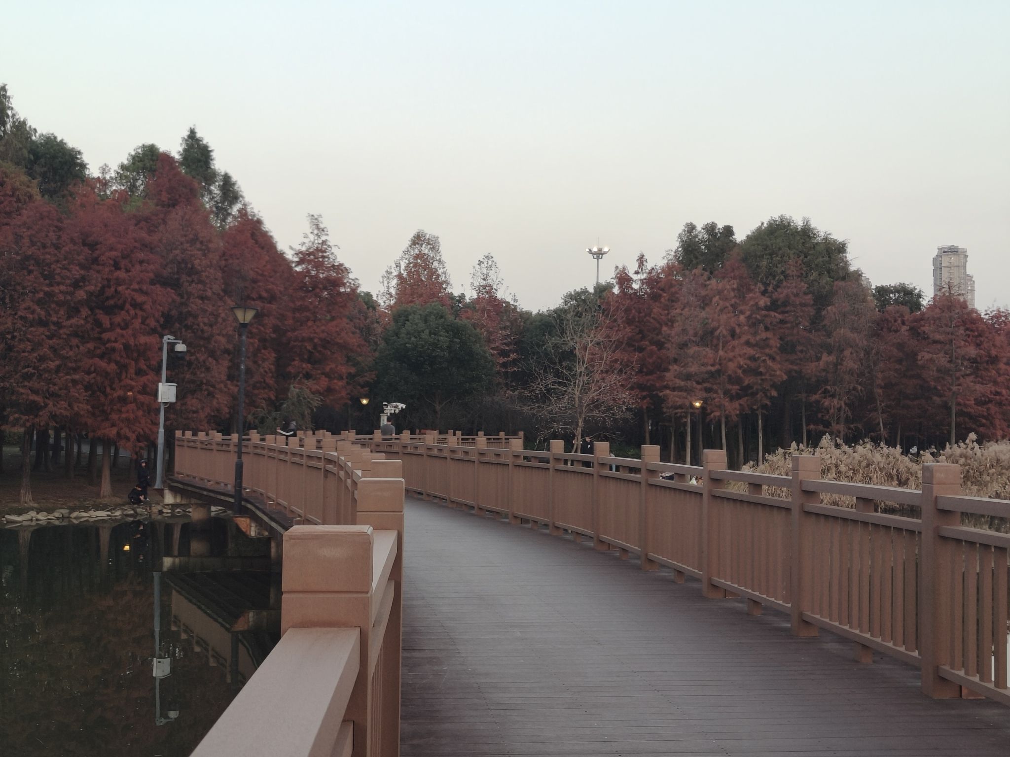北岸公园旅行图片 3