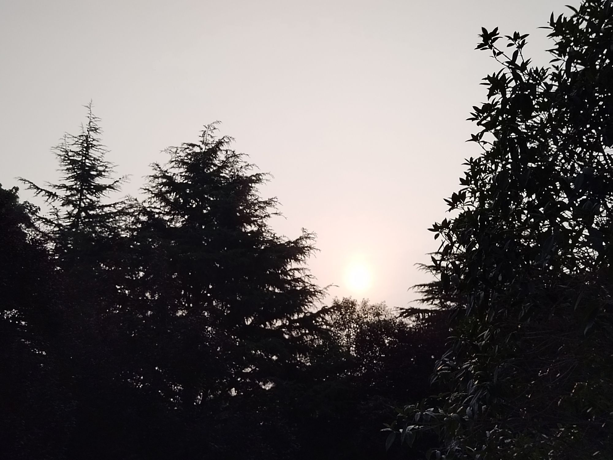 黄河体育公园旅行图片 1