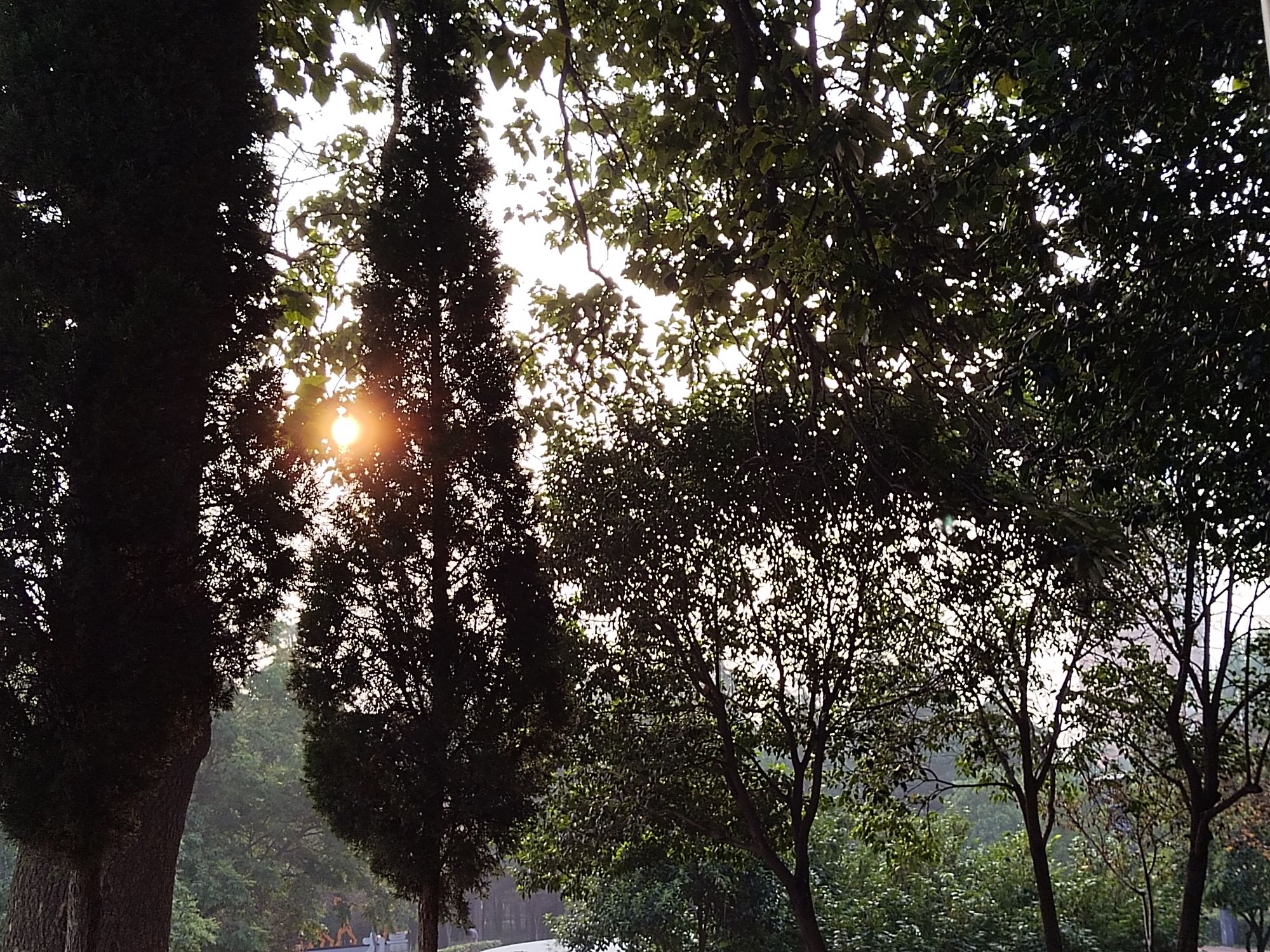 黄河体育公园旅行图片 2