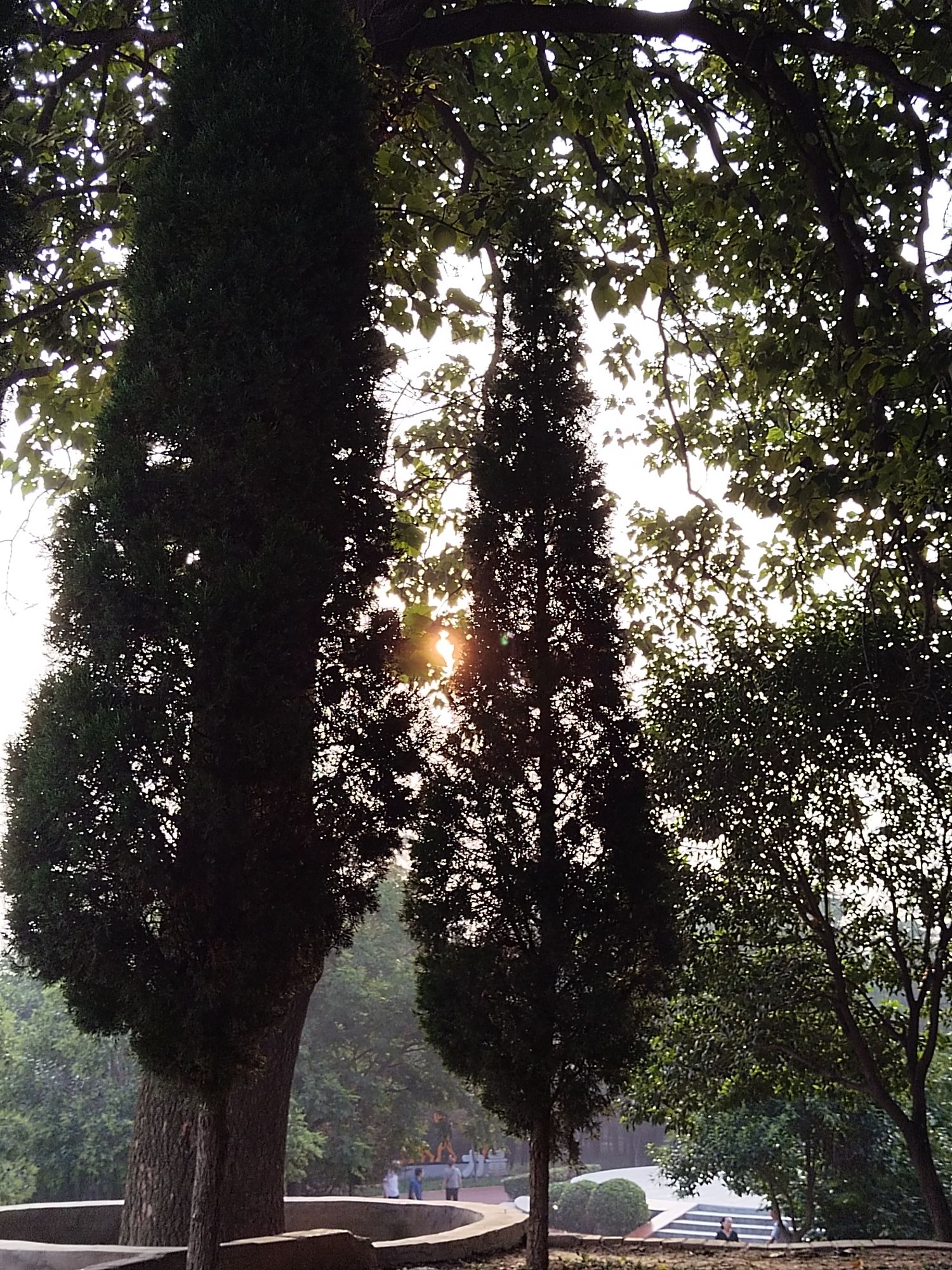 黄河体育公园旅行图片 3