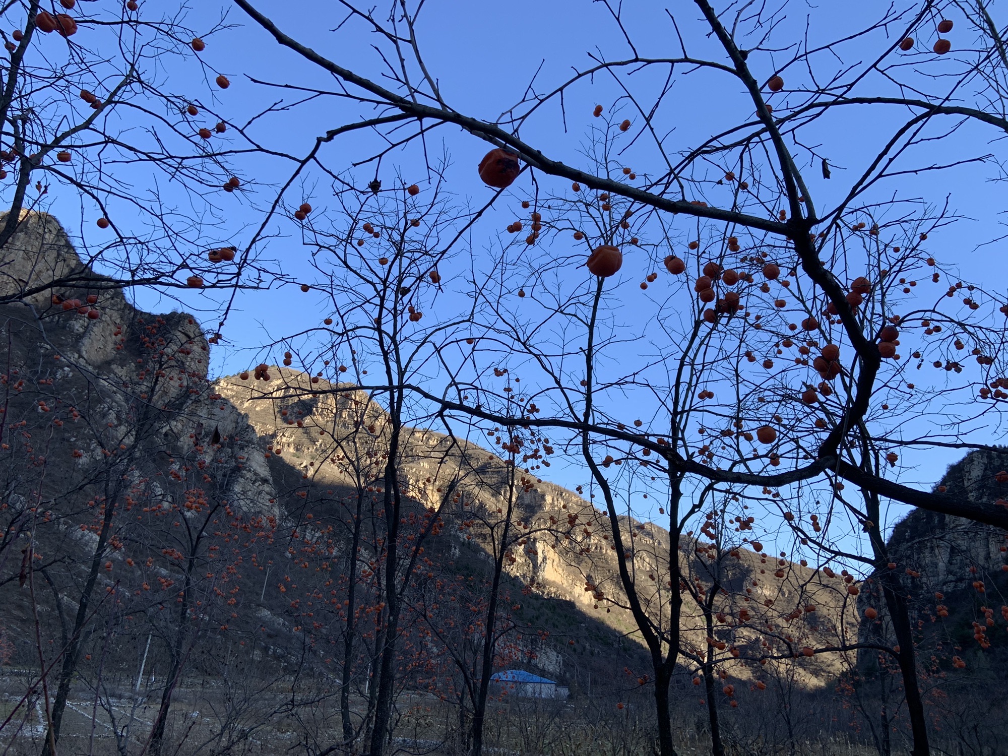 玉皇坨旅行图片 3