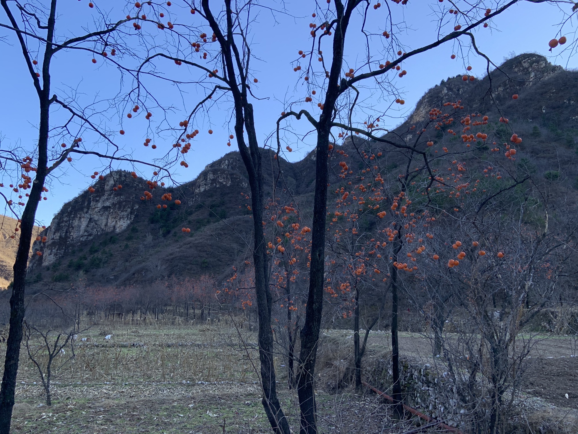玉皇坨旅行图片 1