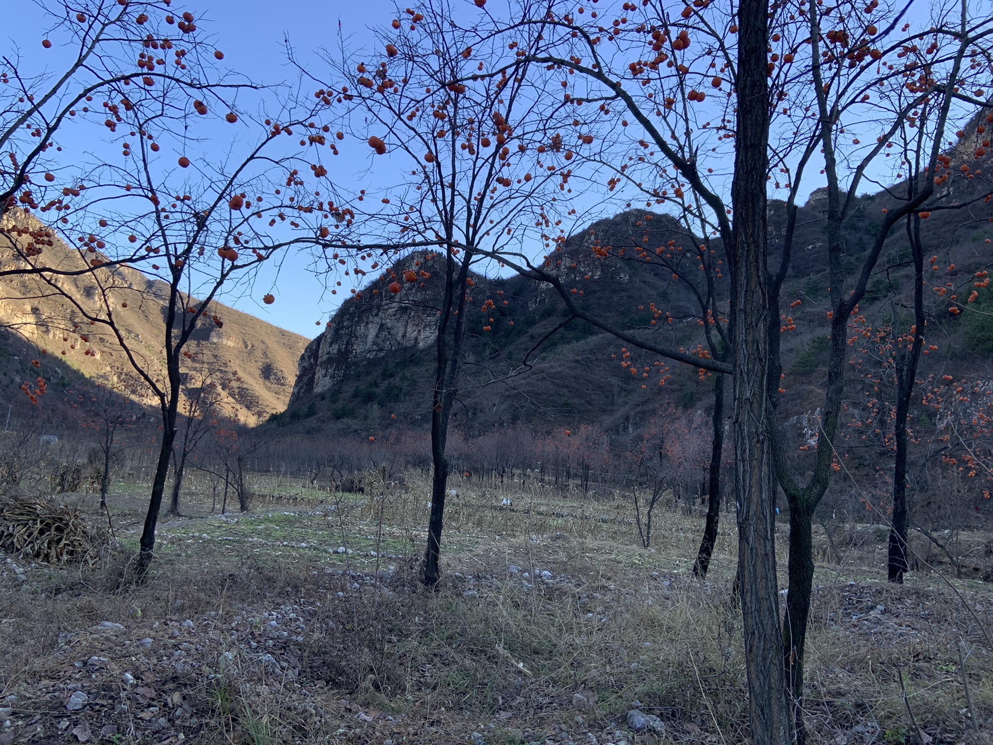 玉皇坨旅行图片 2