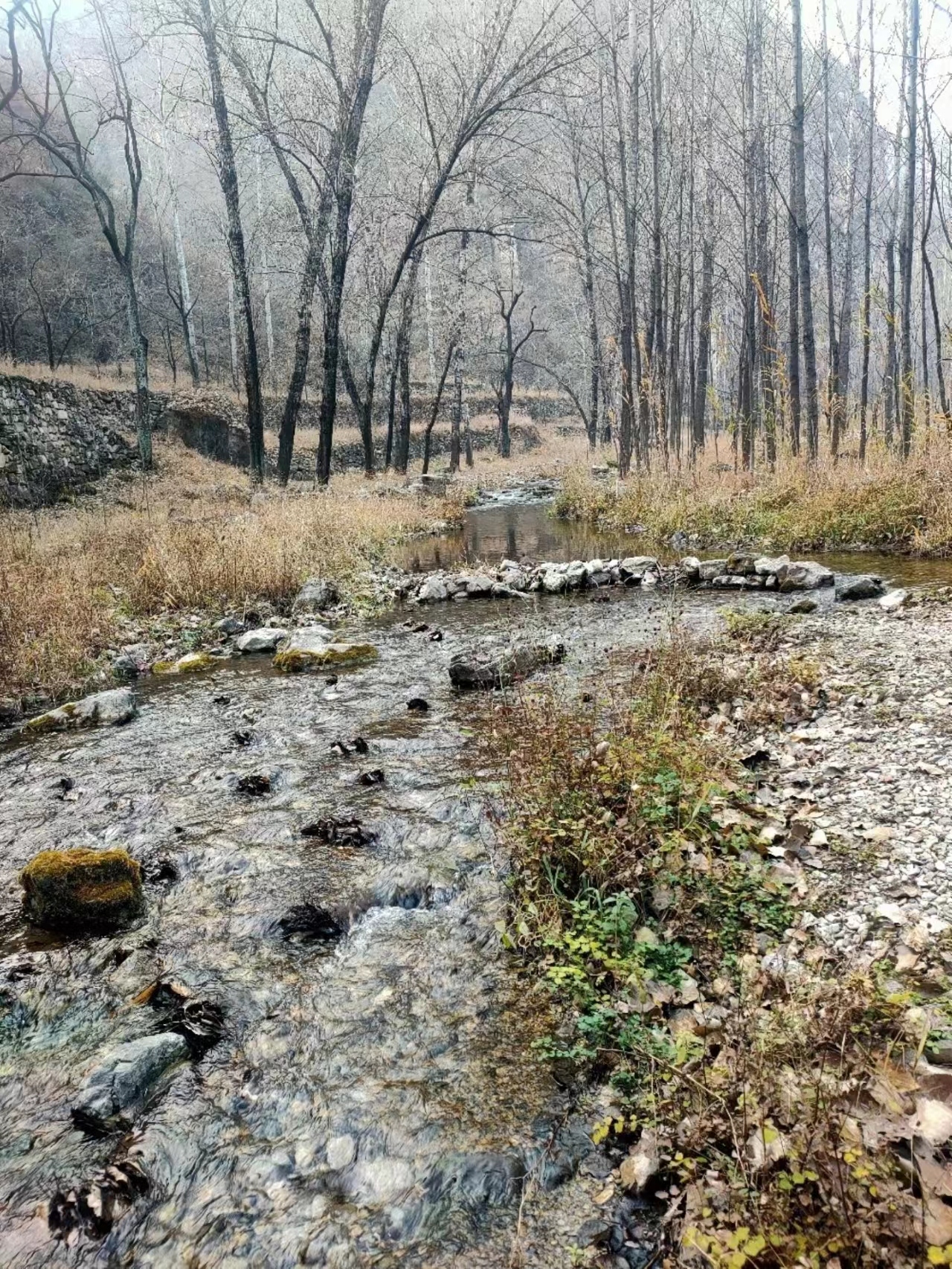 玉皇坨旅行图片 1