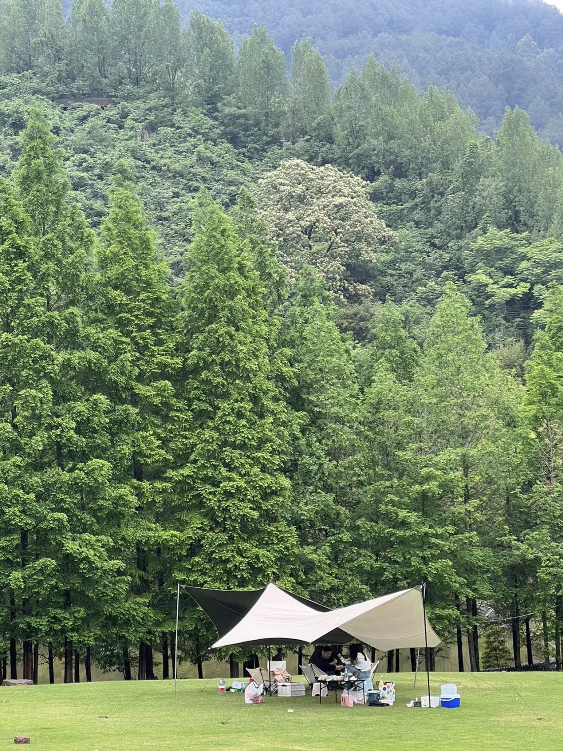 花漾栖谷旅行图片 1