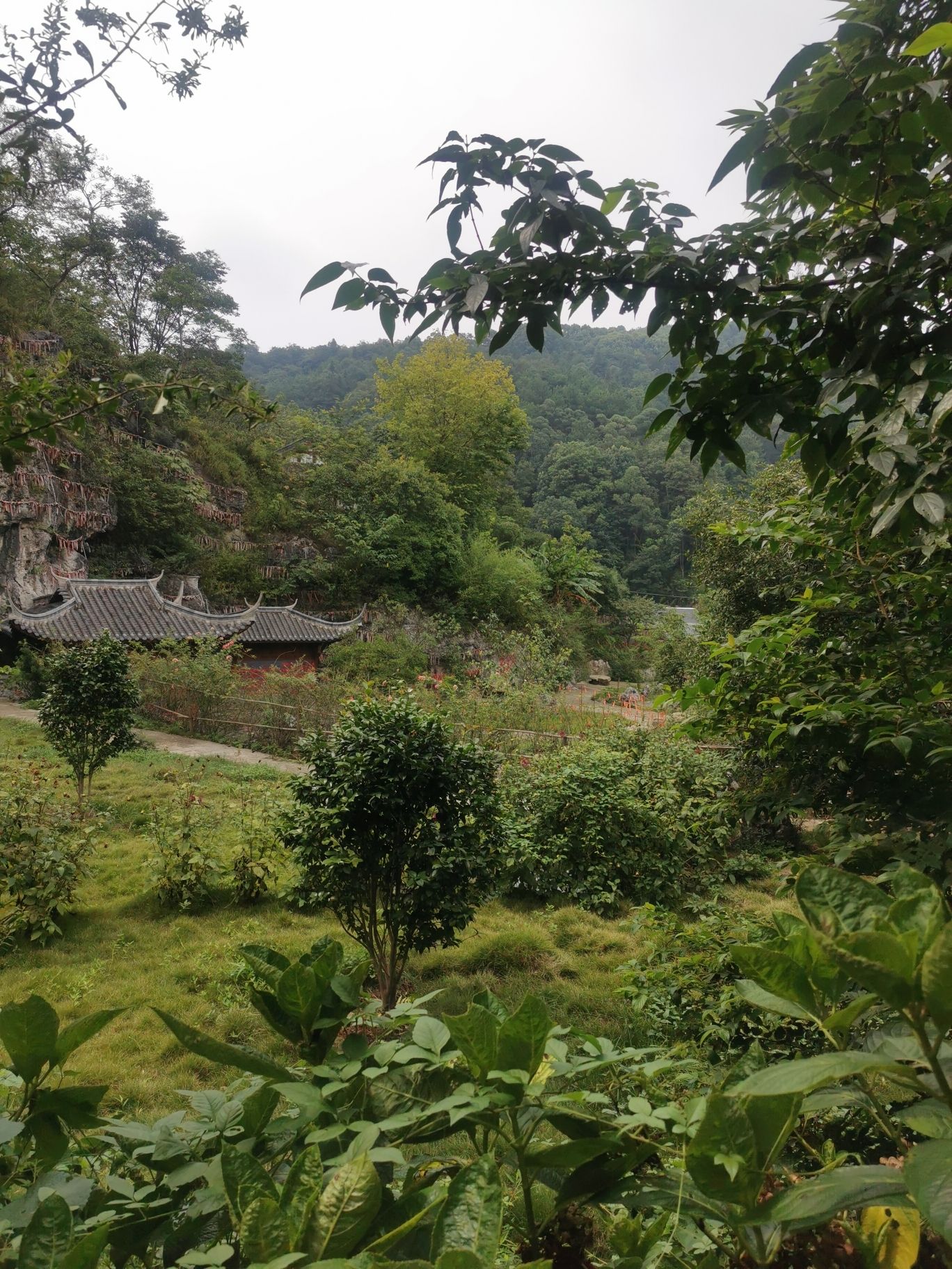 花漾栖谷旅行图片 2
