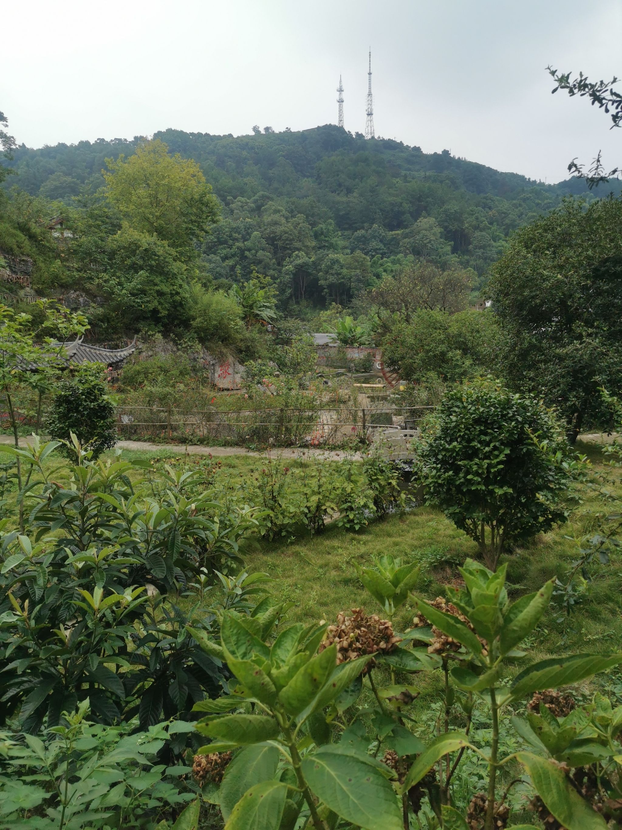 花漾栖谷旅行图片 3