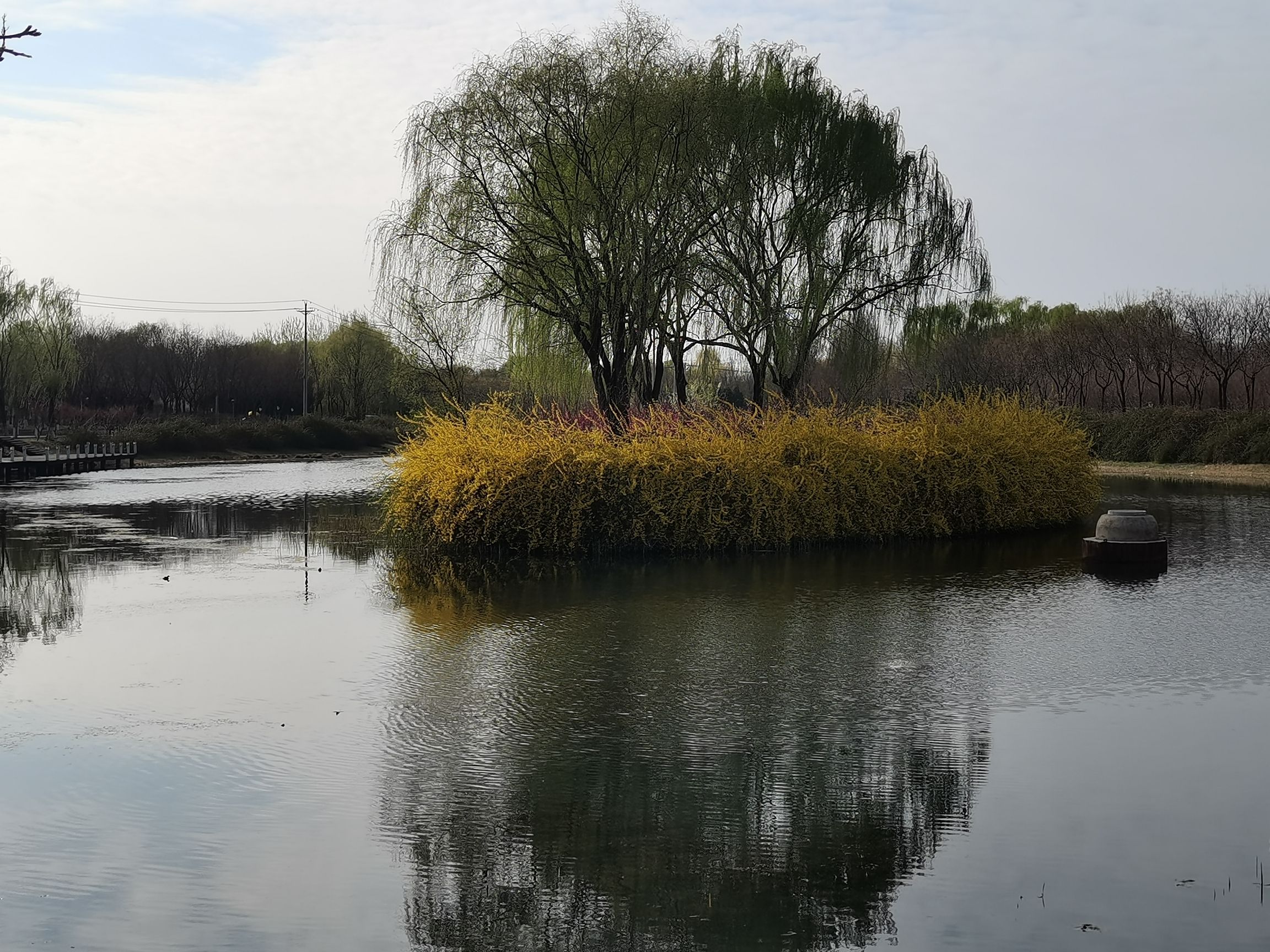 三里河公园旅行图片 3