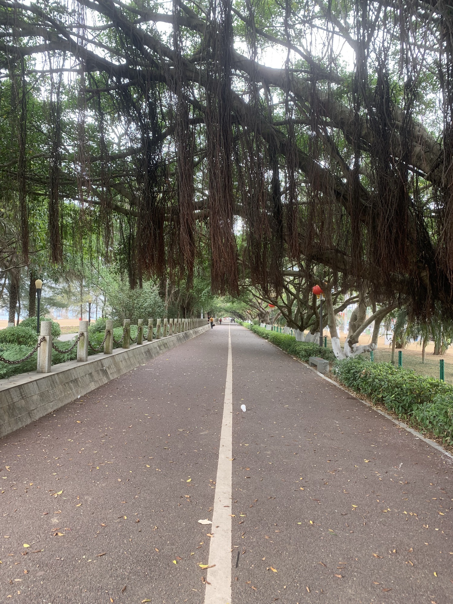 西湾旅游景区旅行图片 3