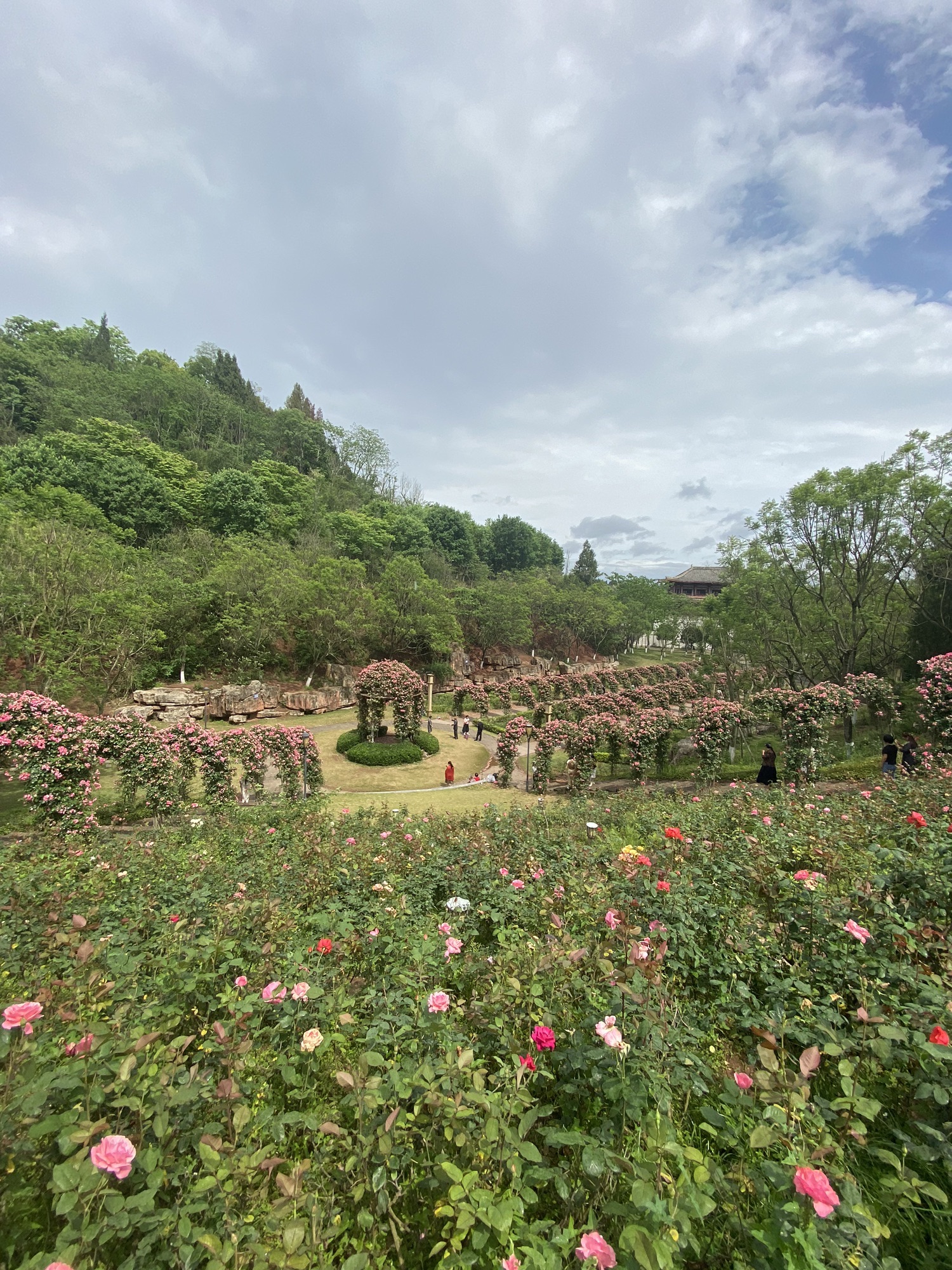 字库山公园旅行图片 1