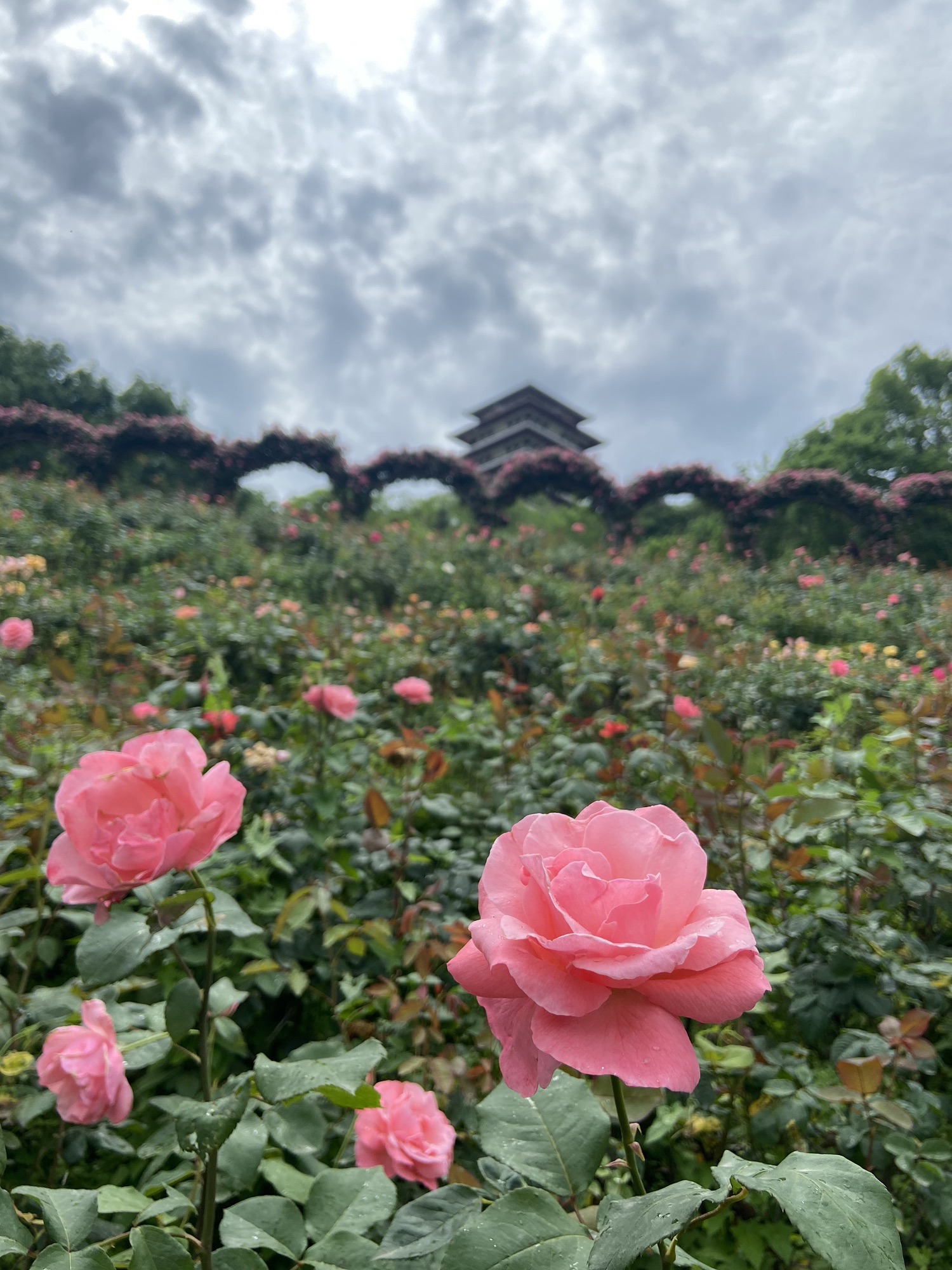 字库山公园旅行图片 2