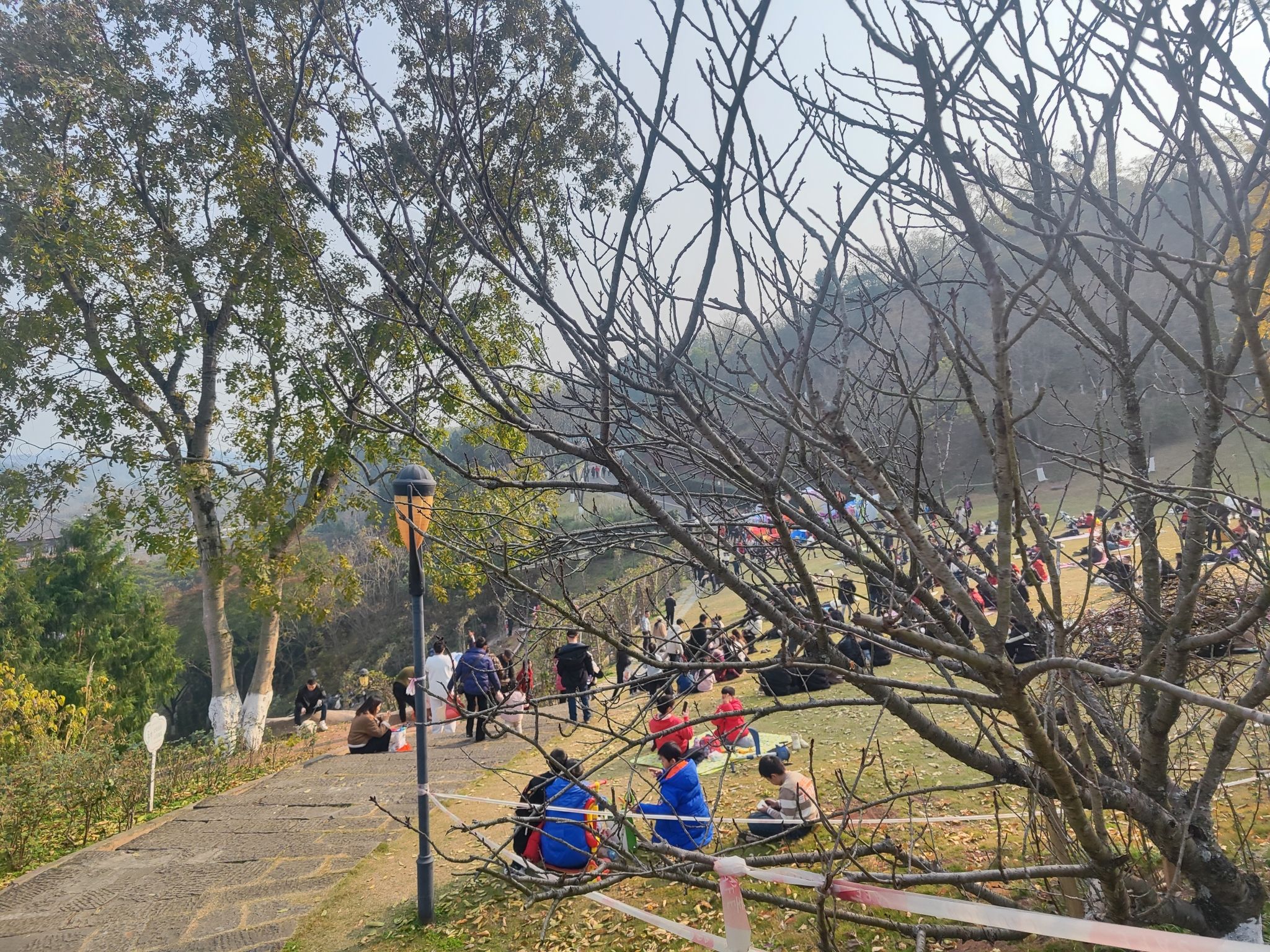 字库山公园旅行图片 3