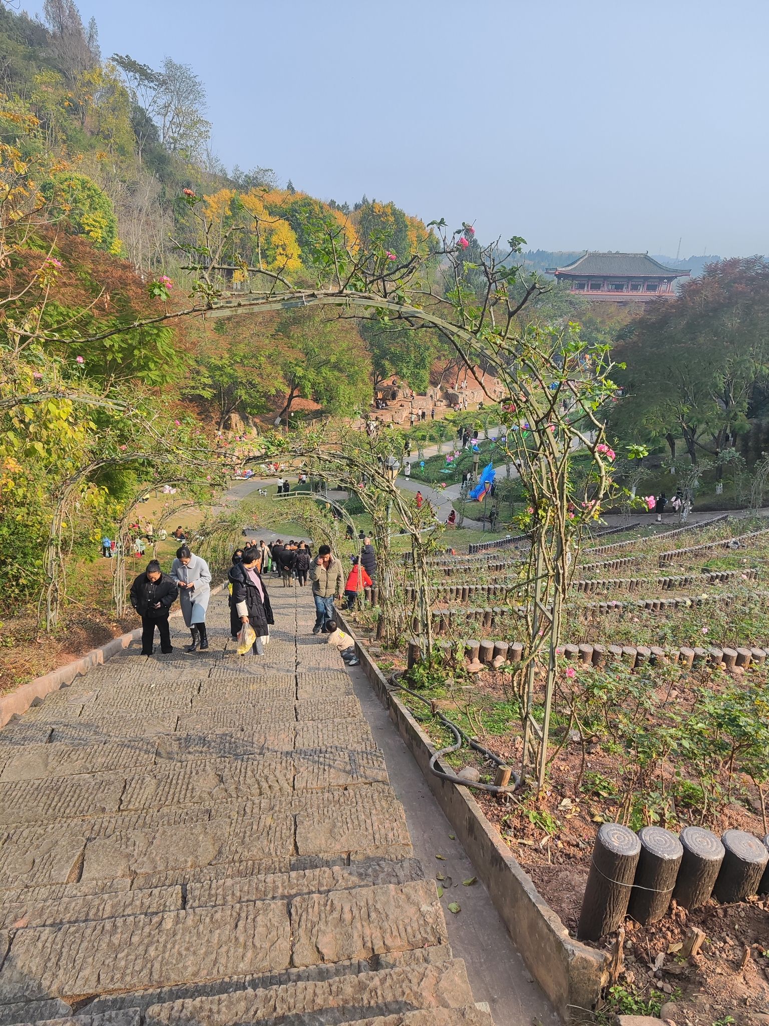 字库山公园旅行图片 1