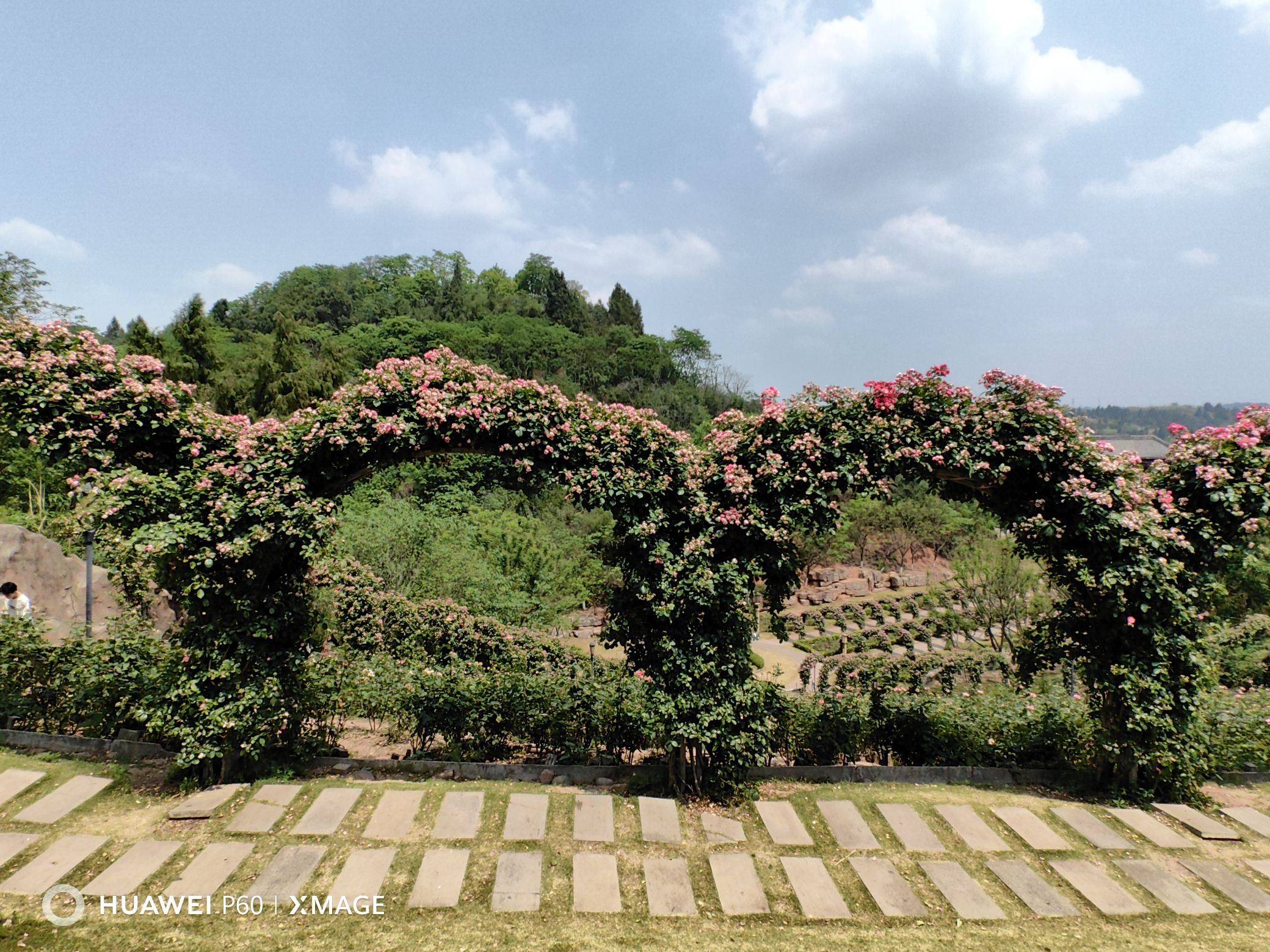 字库山公园旅行图片 2