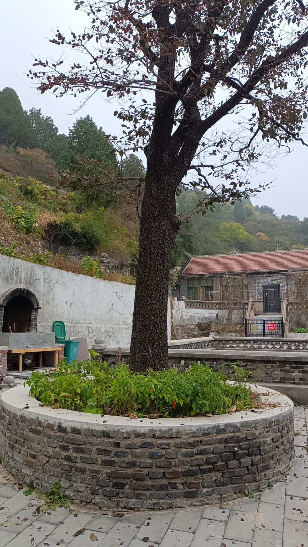 望海寺旅行图片