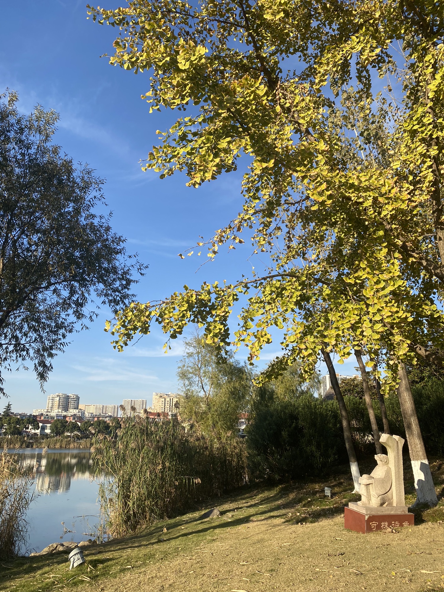 金沙公园旅行图片 1