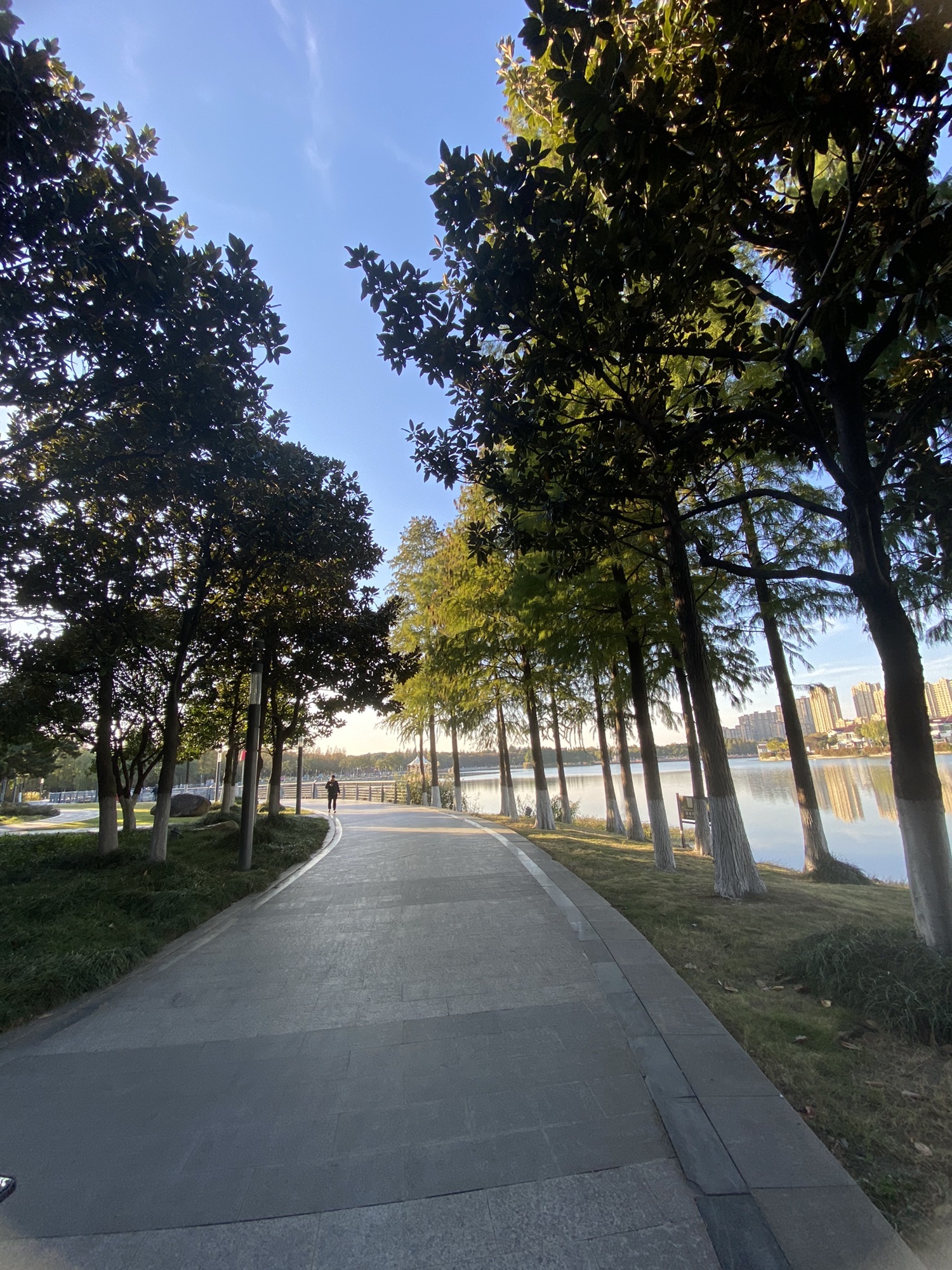 金沙公园旅行图片 3
