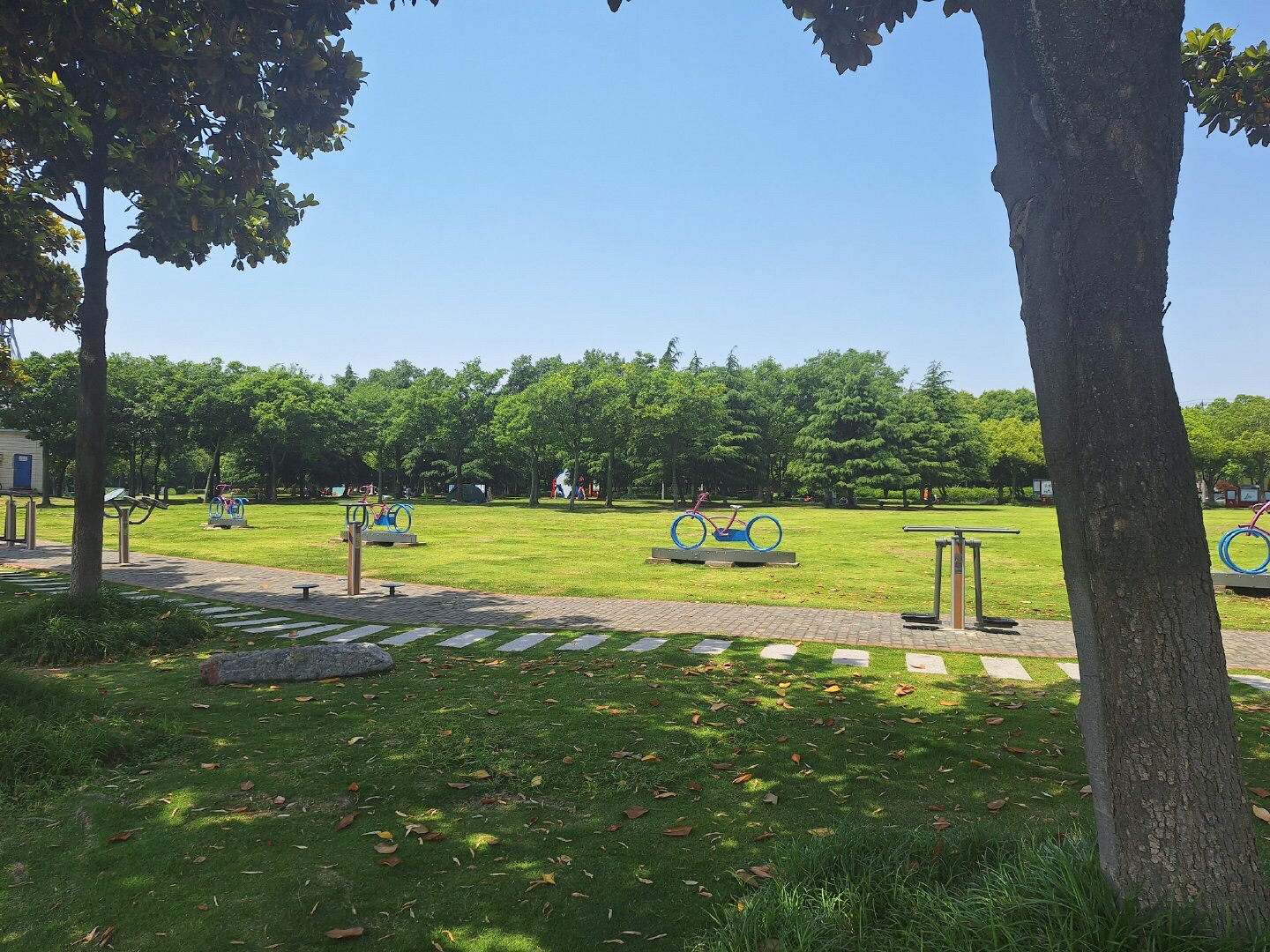 金沙公园