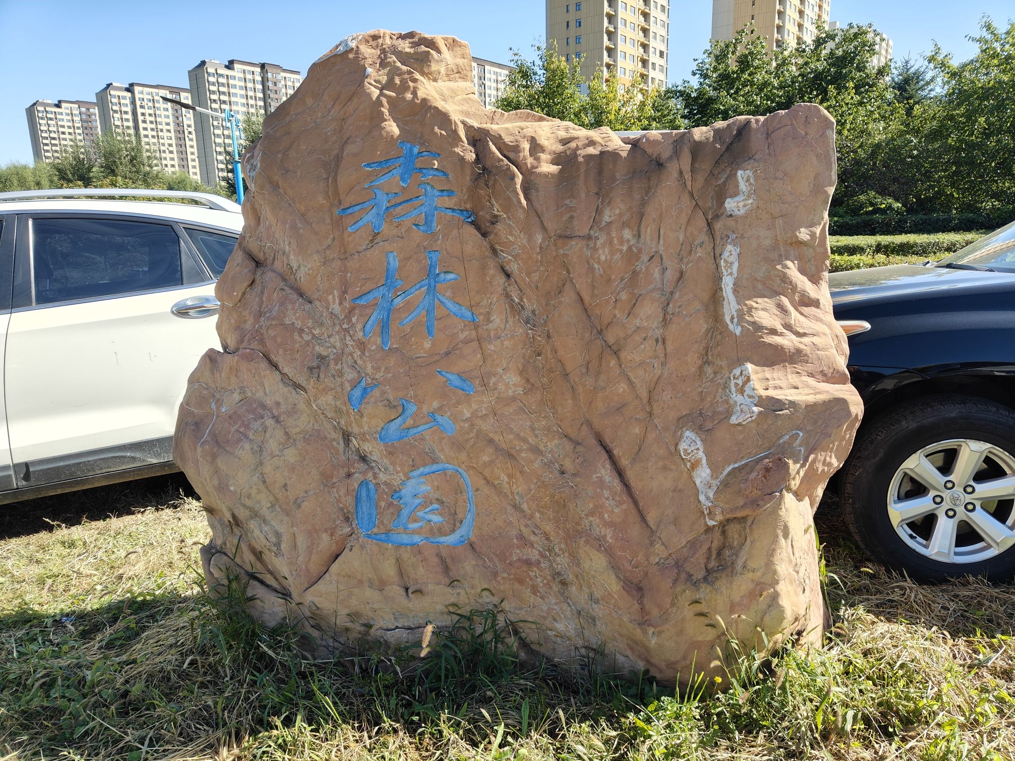 森林公园旅行图片 1