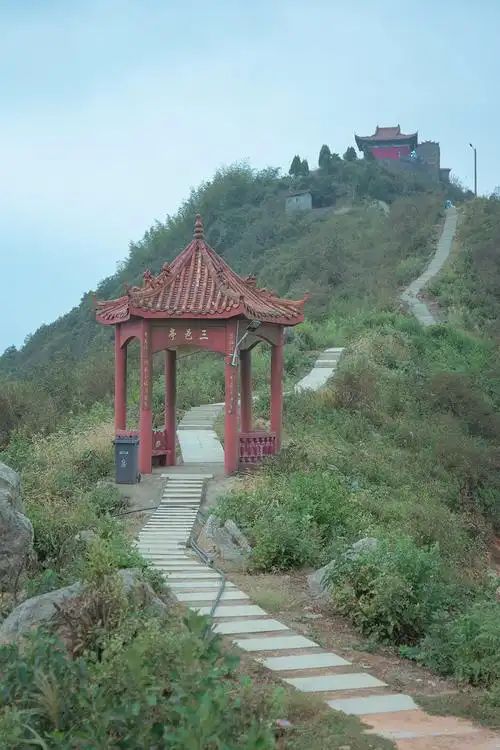 蓬源仙森林公园旅行图片 1