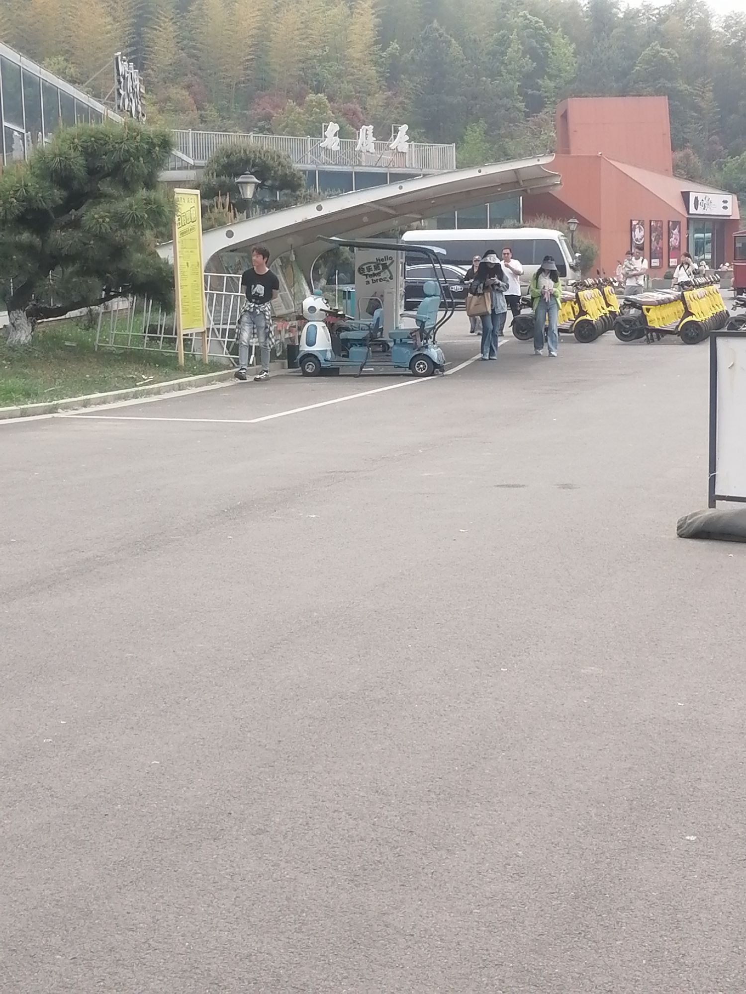 茅山森林世界旅行图片 3