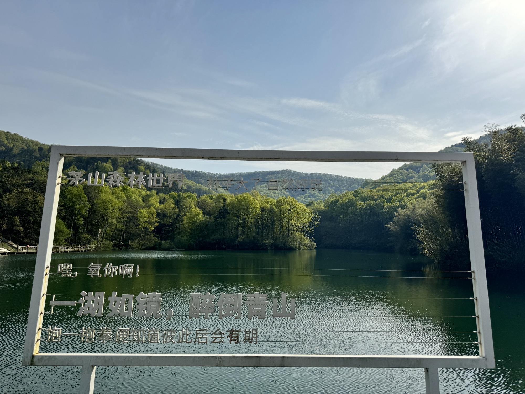 茅山森林世界旅行图片 1