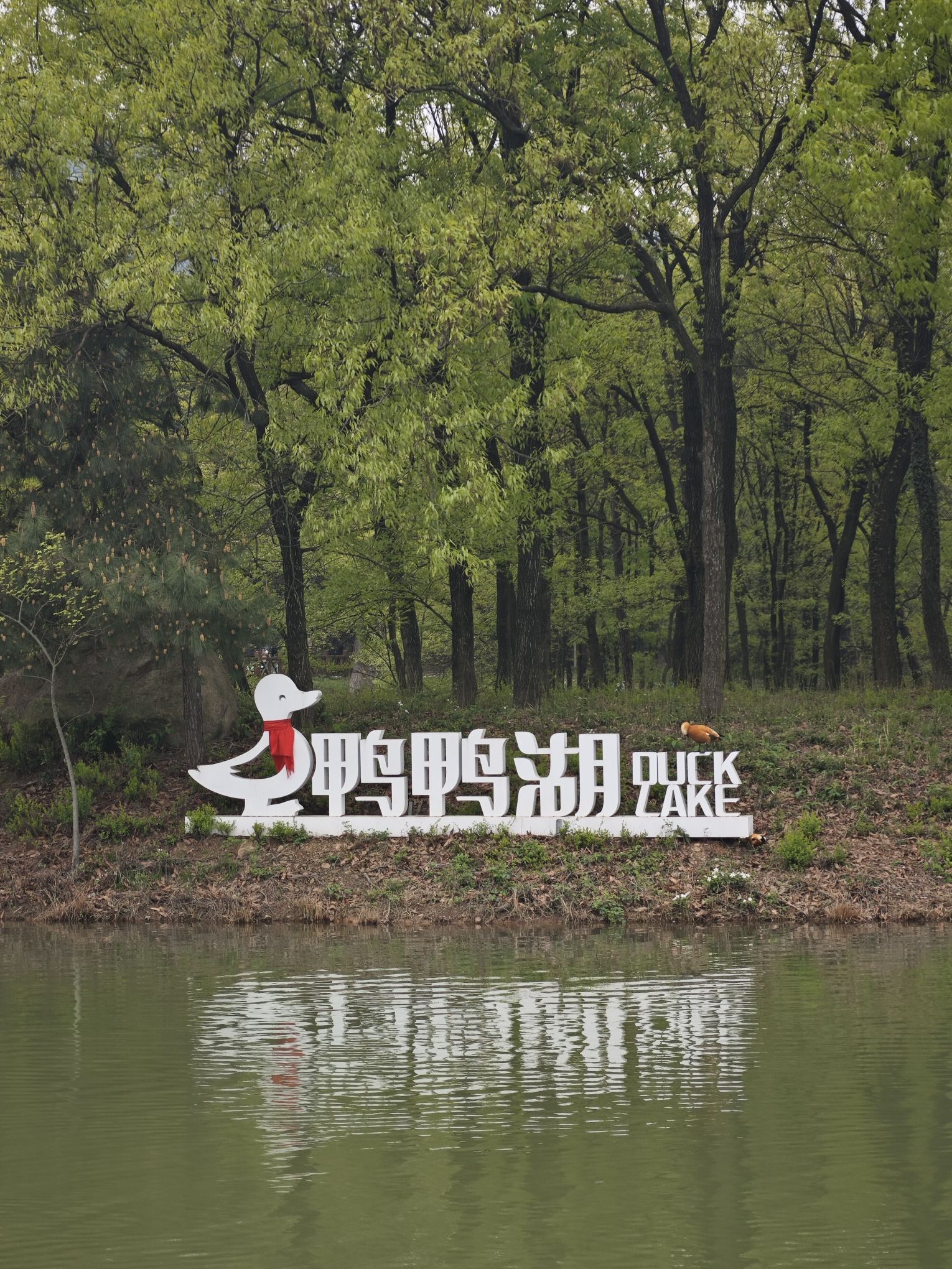 茅山森林世界旅行图片 3