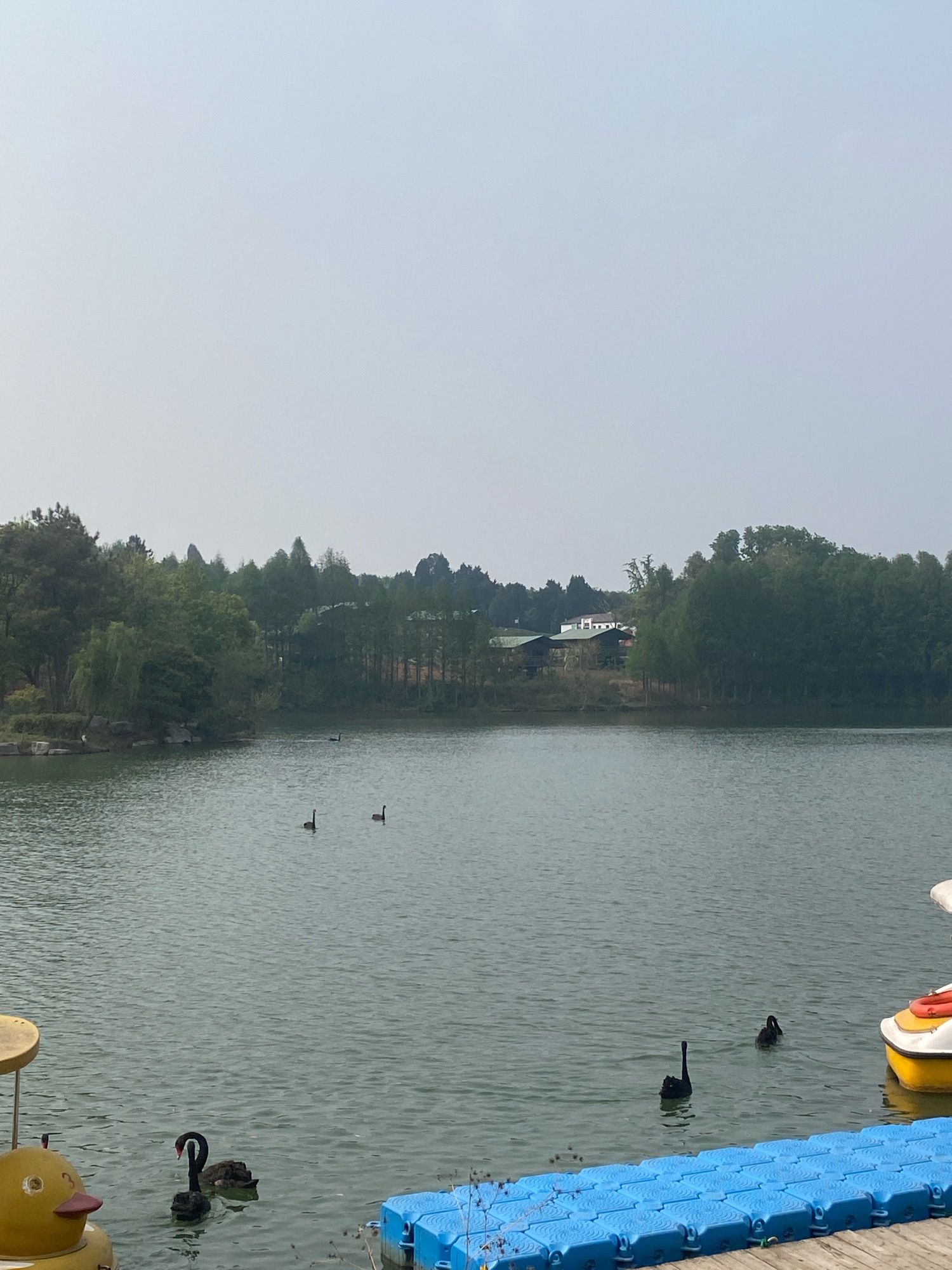 茅山森林世界旅行图片 2