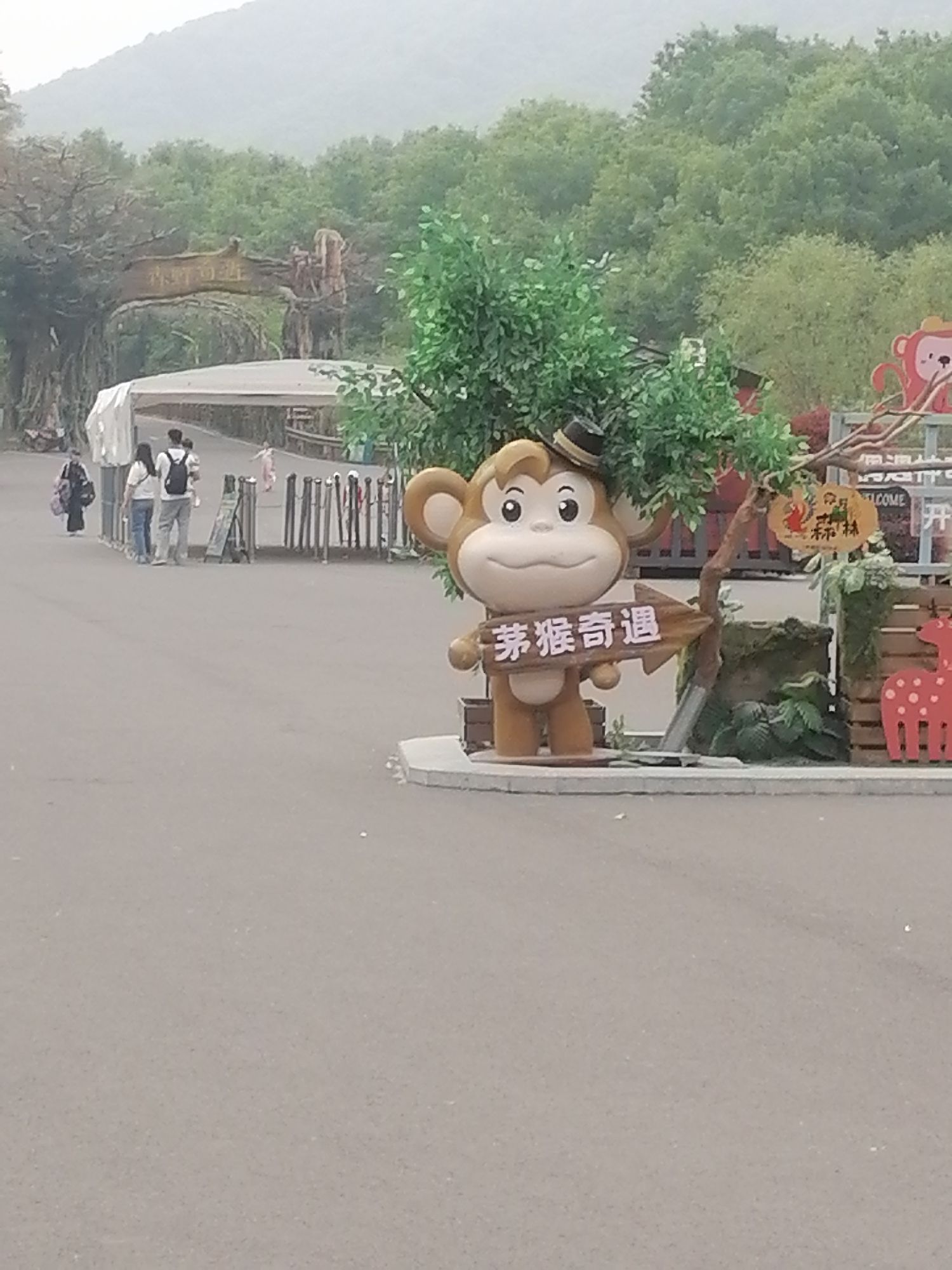 茅山森林世界旅行图片 2