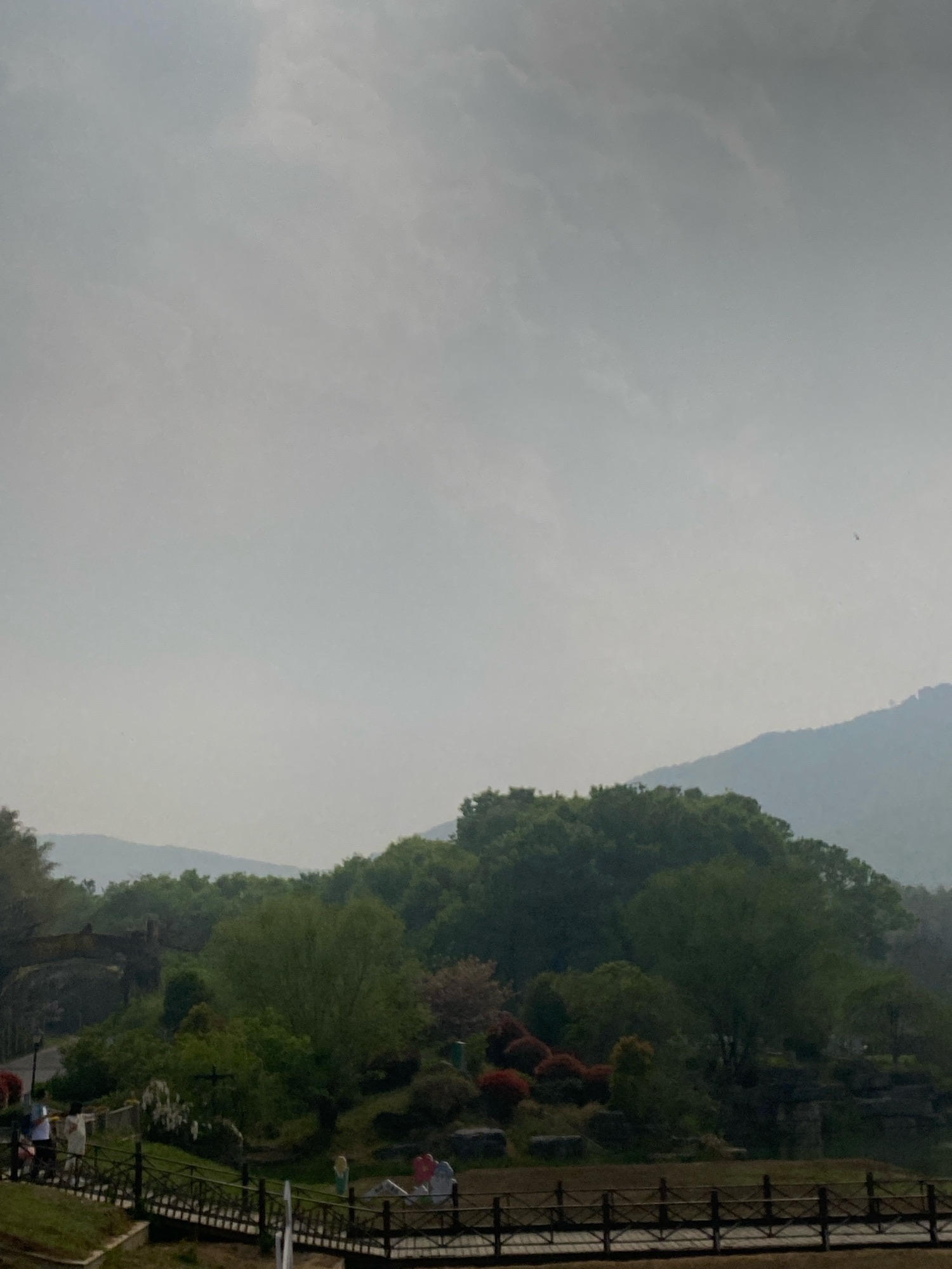 茅山森林世界旅行图片 3