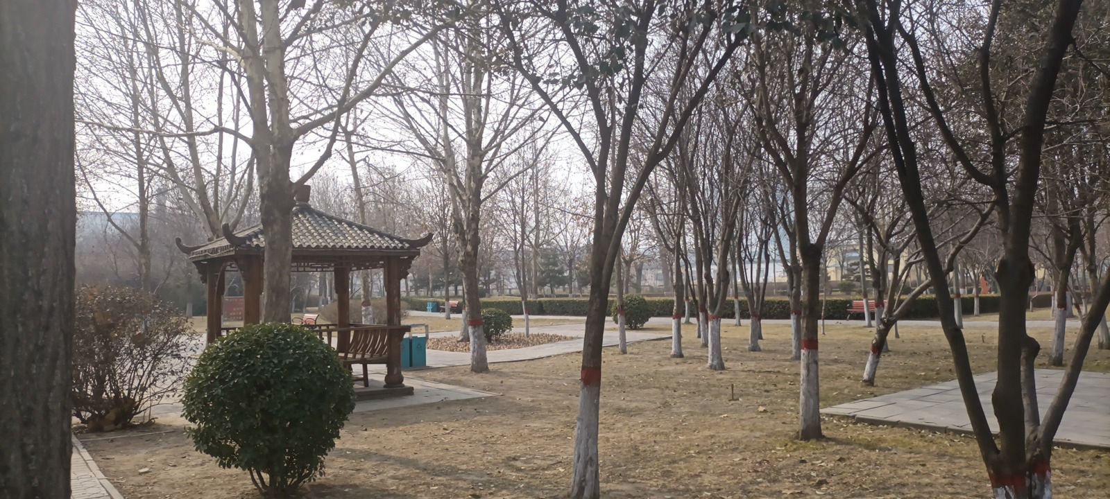 怡然园旅行图片 3