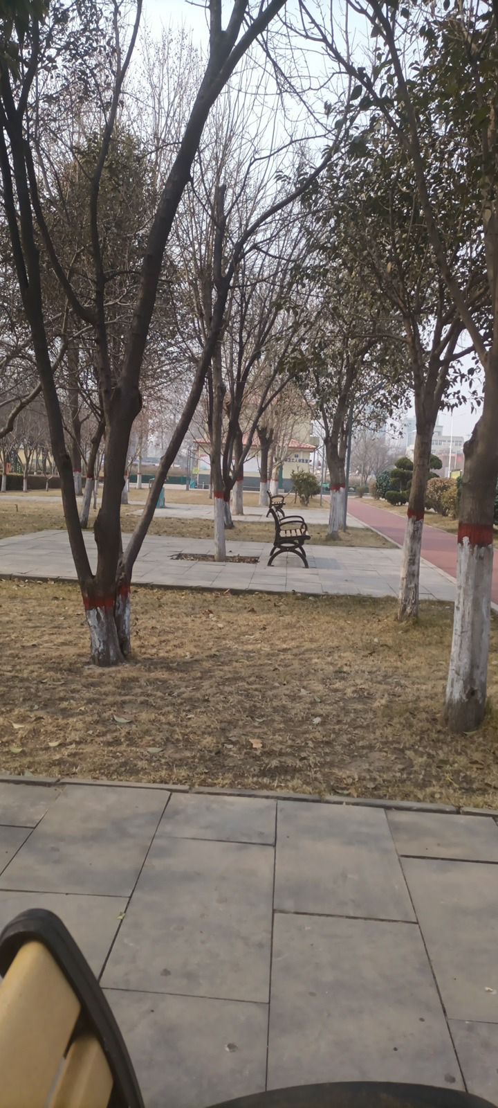 怡然园旅行图片 1