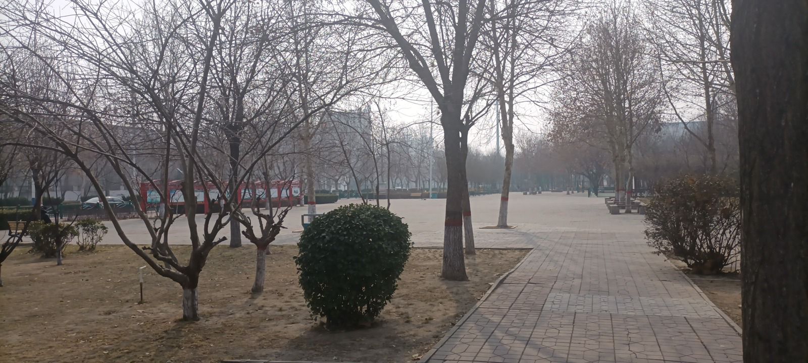 怡然园旅行图片 2