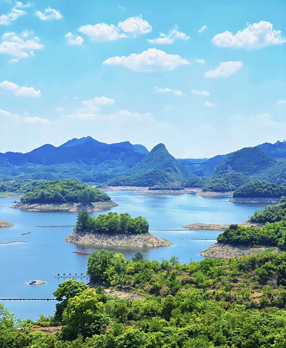 贵阳阿哈湖国家湿地公园-杜鹃花谷