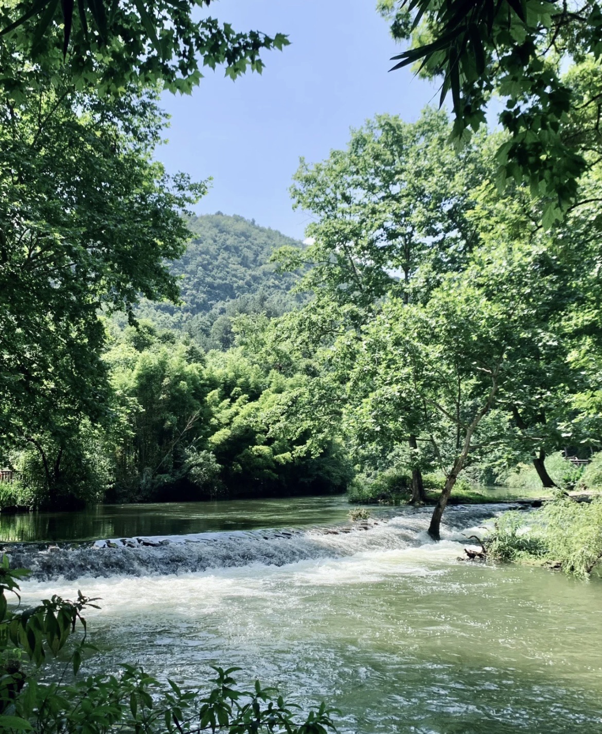 贵阳阿哈湖国家湿地公园-杜鹃花谷