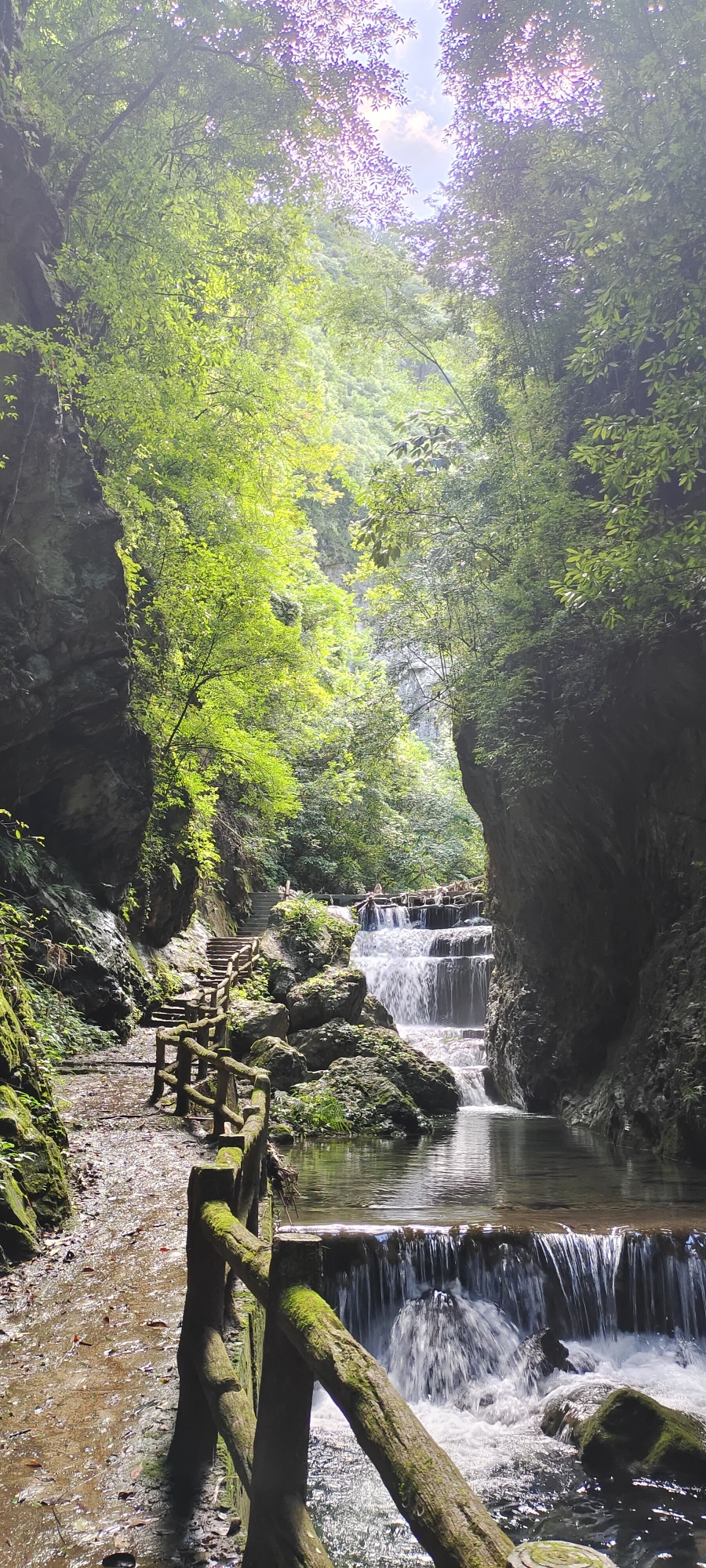贵阳阿哈湖国家湿地公园-杜鹃花谷