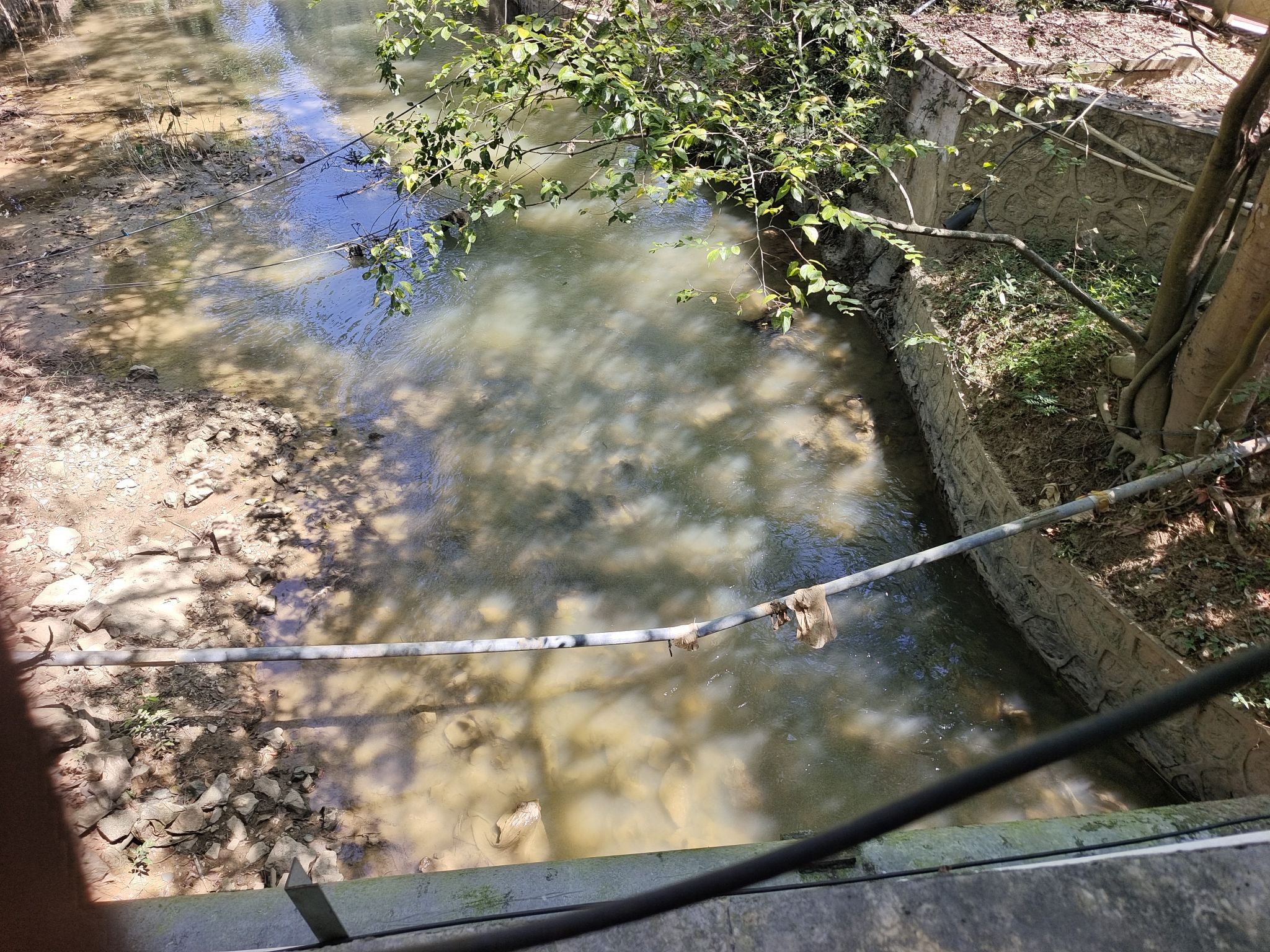 滨江休闲广场旅行图片 1