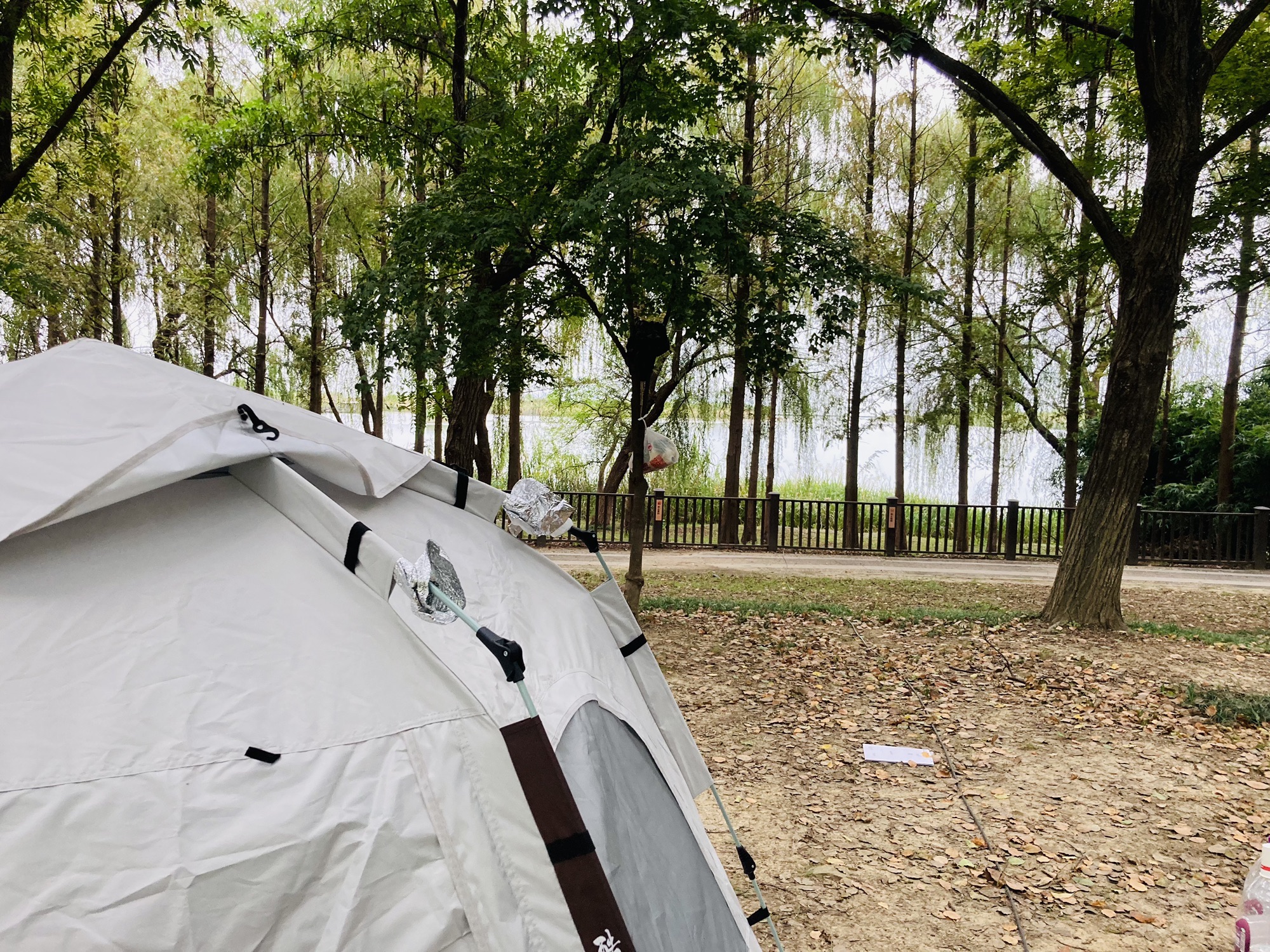 太湖新天地生态休闲公园旅行图片 3