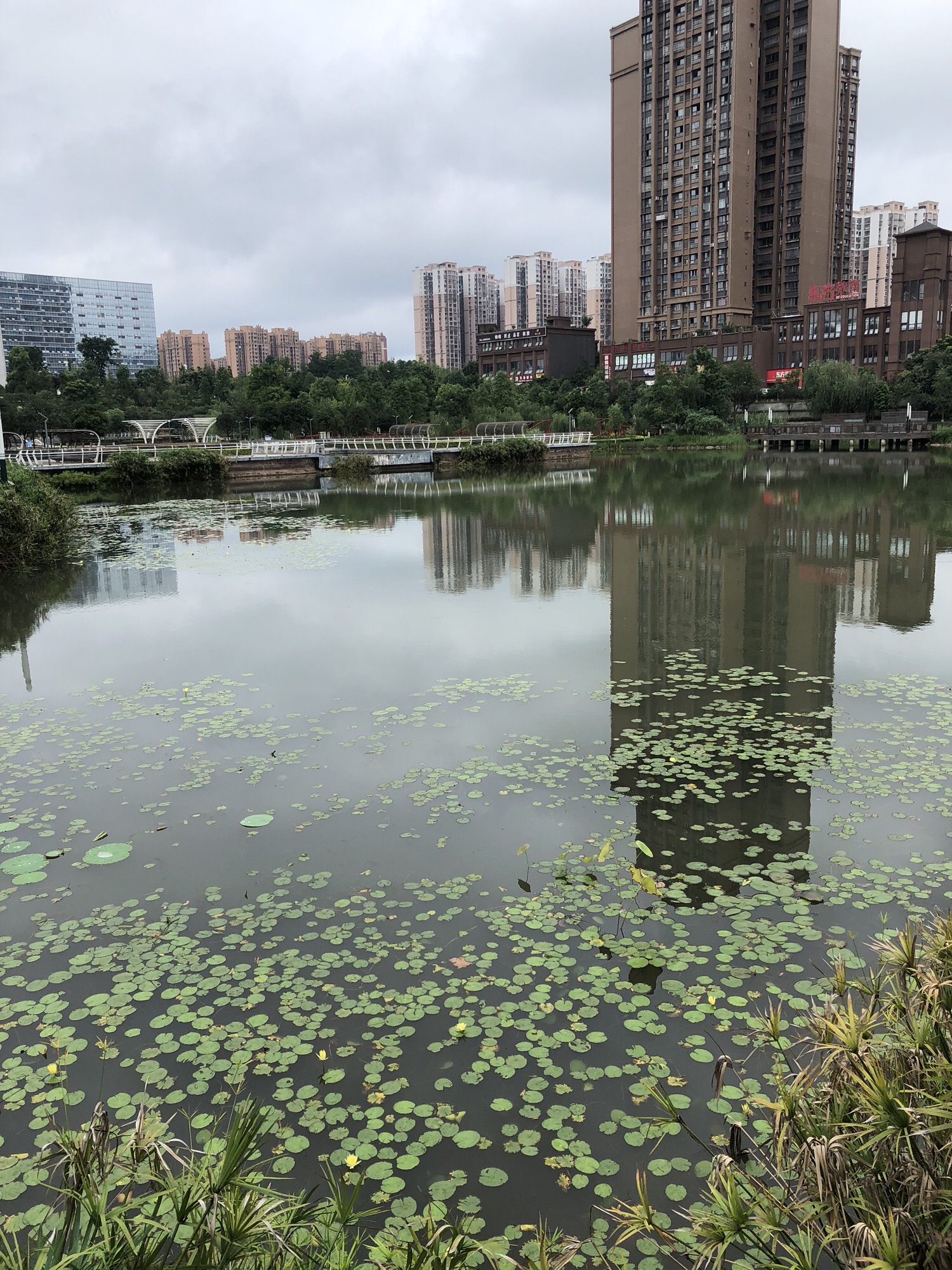 城市水体公园旅行图片 2