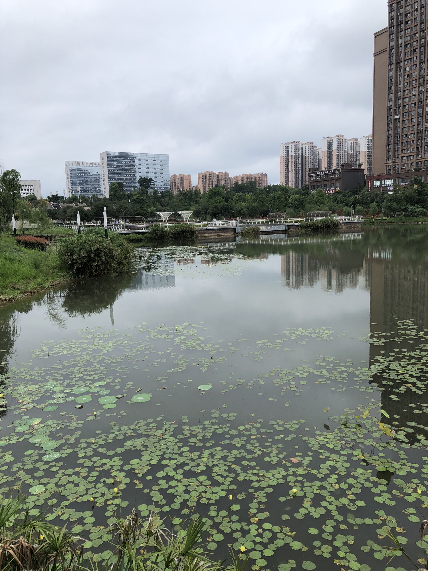 城市水体公园旅行图片 1